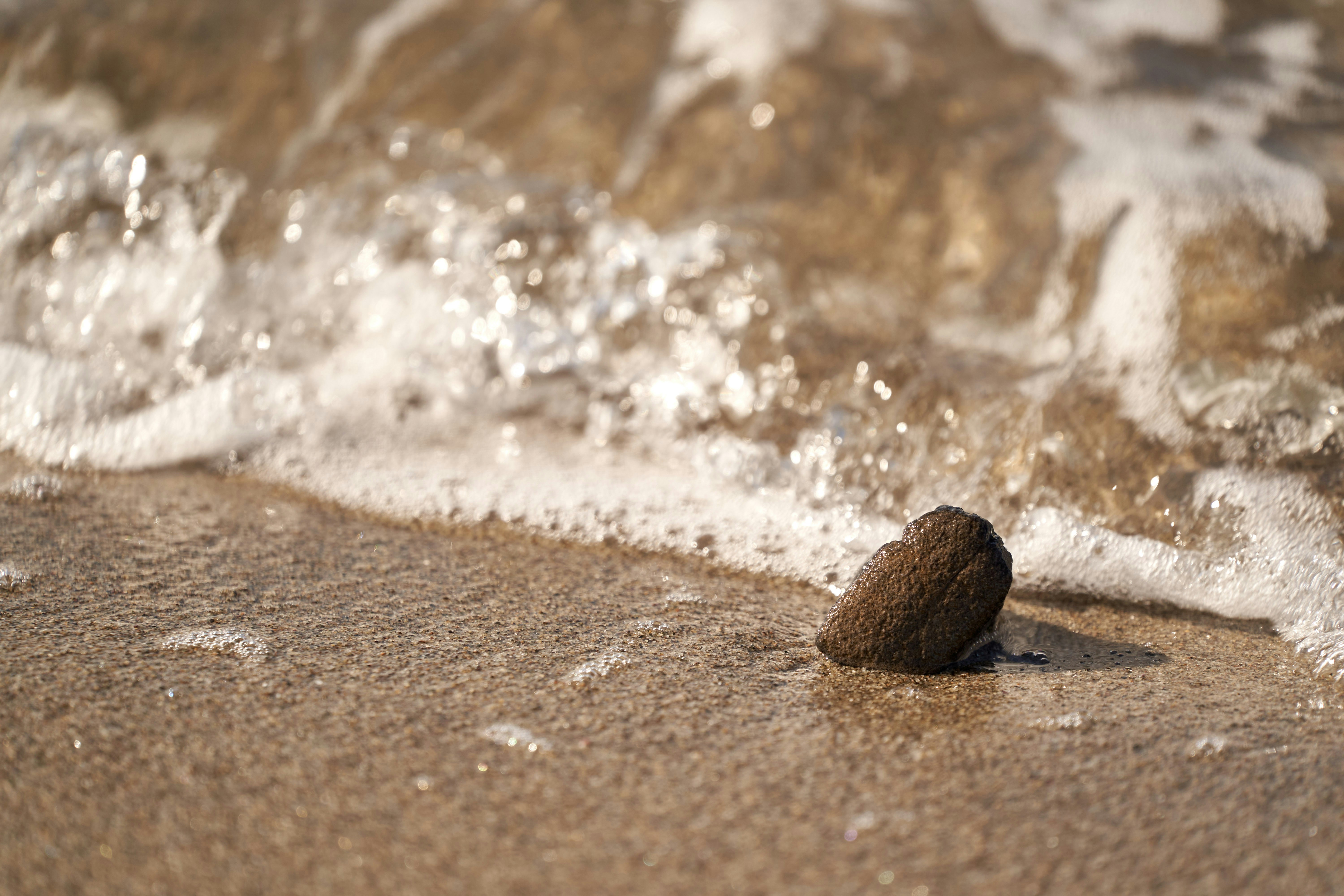 Photo by wolfgang_hasselmann