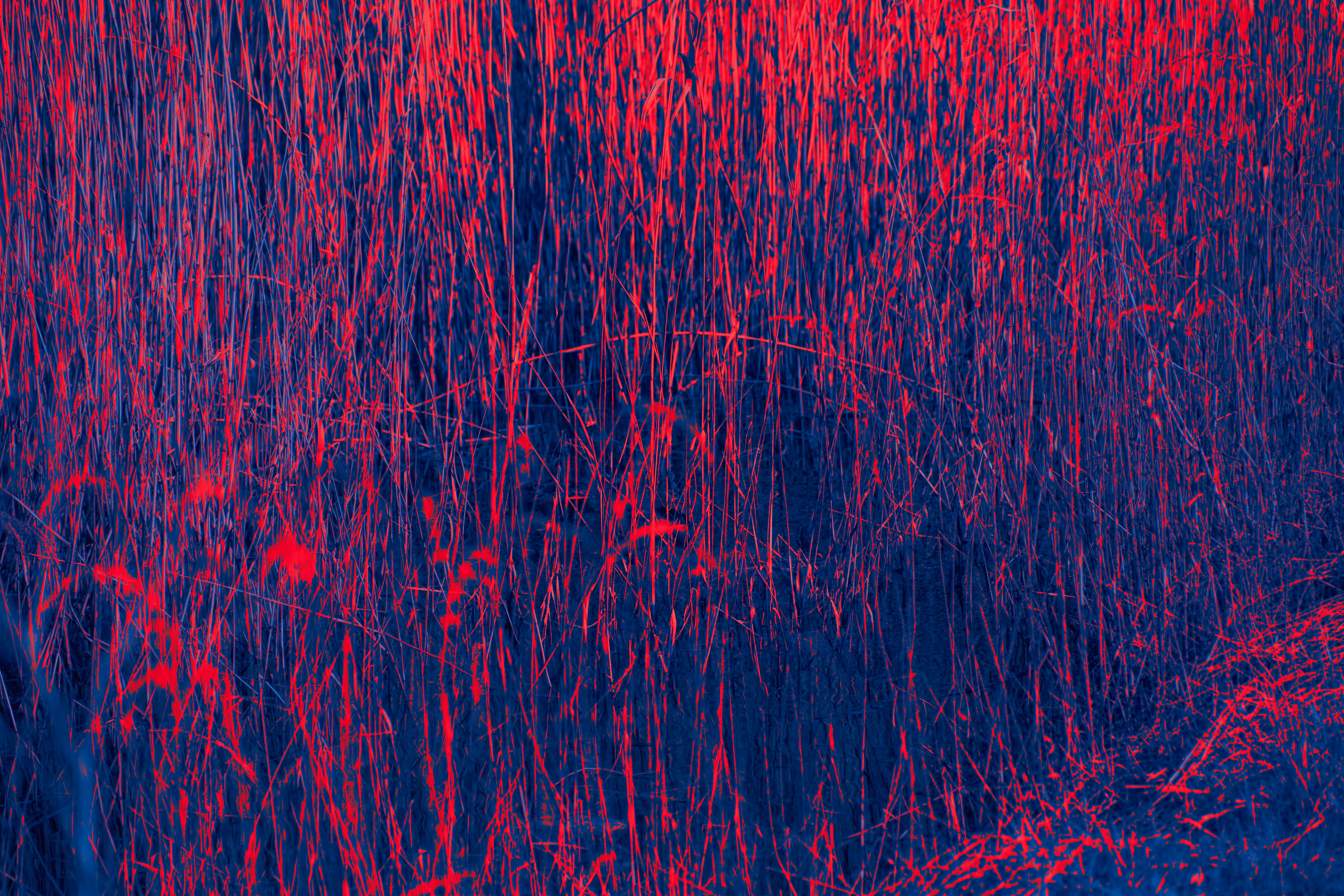 Photo by wolfgang_hasselmann