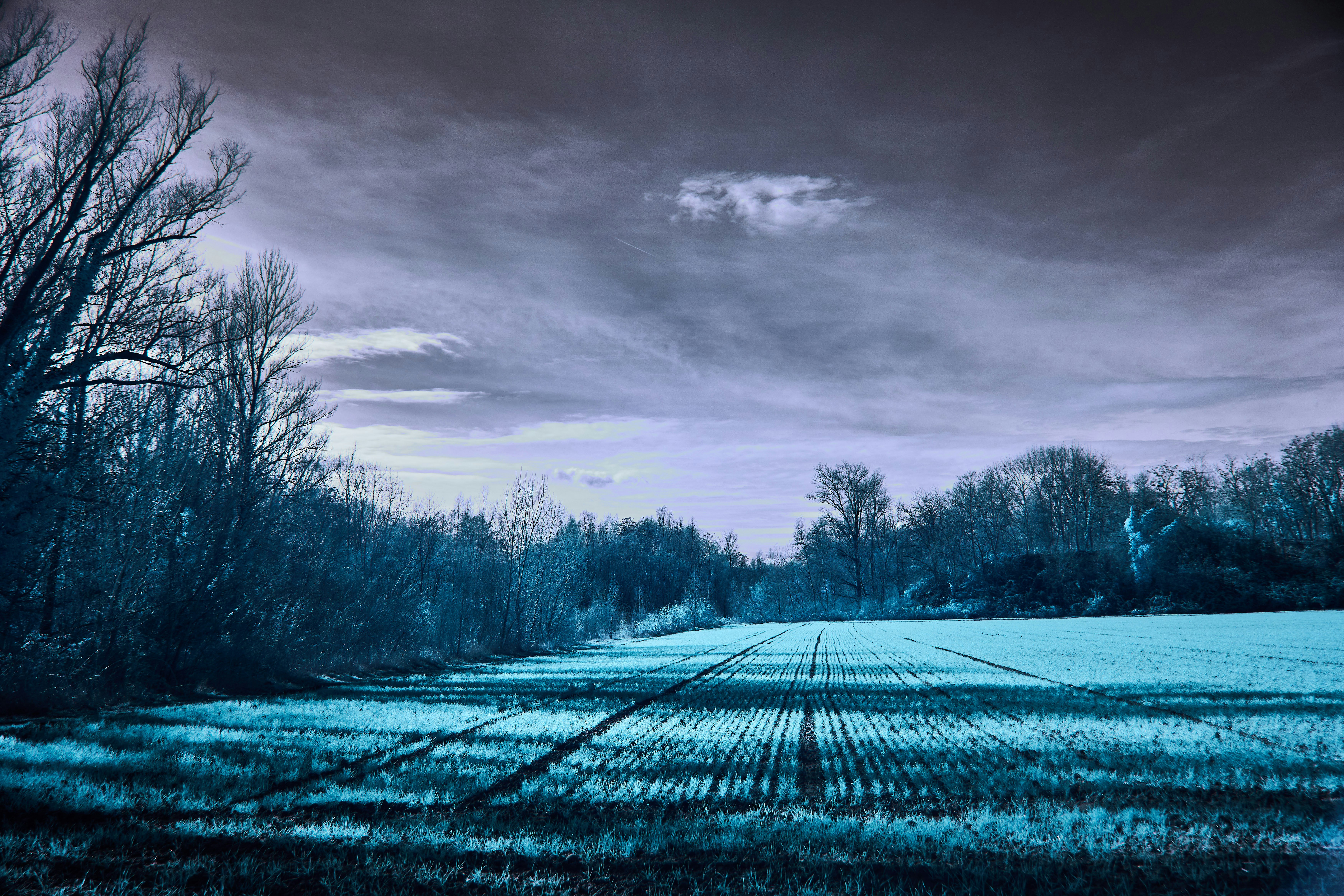 Photo by wolfgang_hasselmann