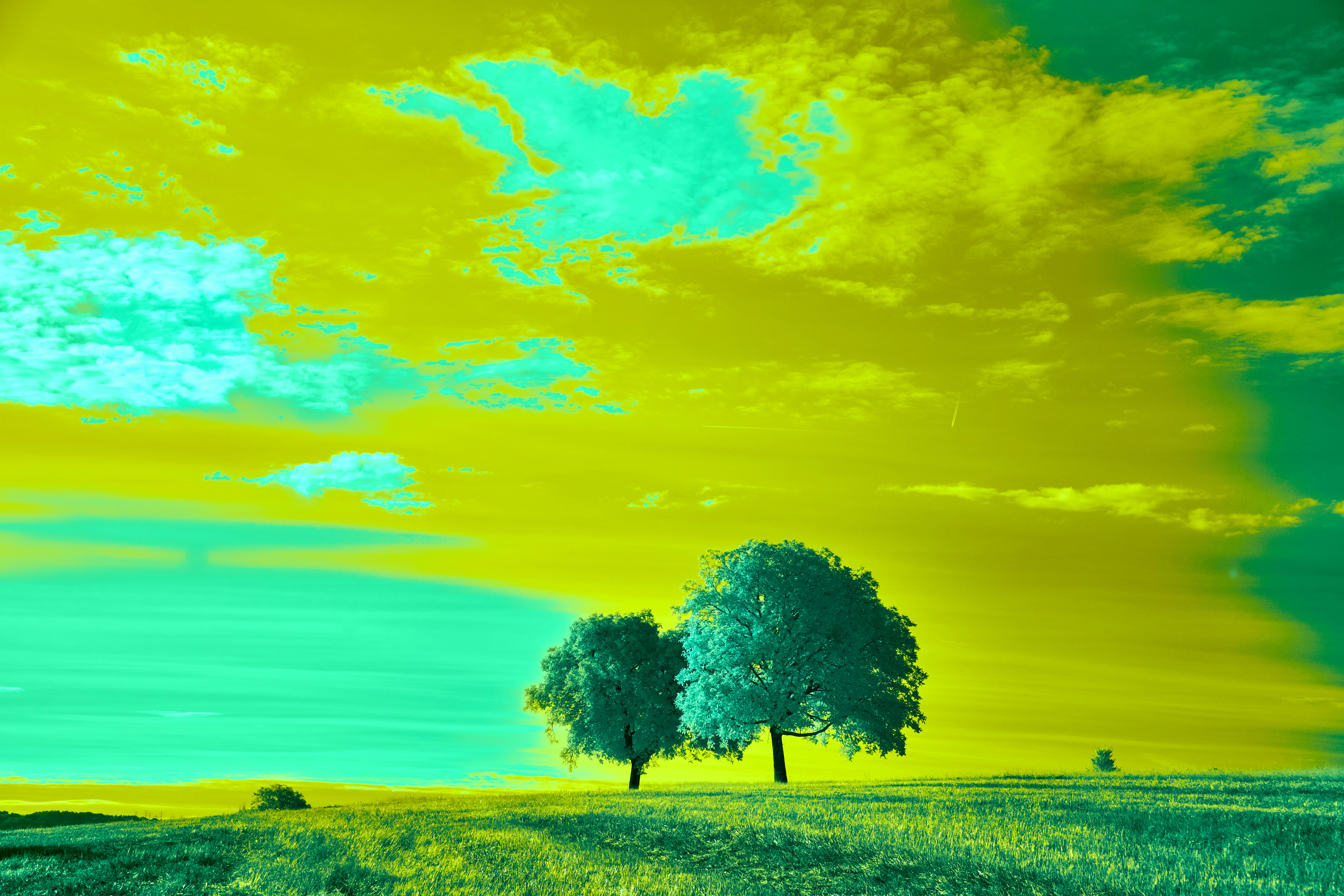 Photo by wolfgang_hasselmann