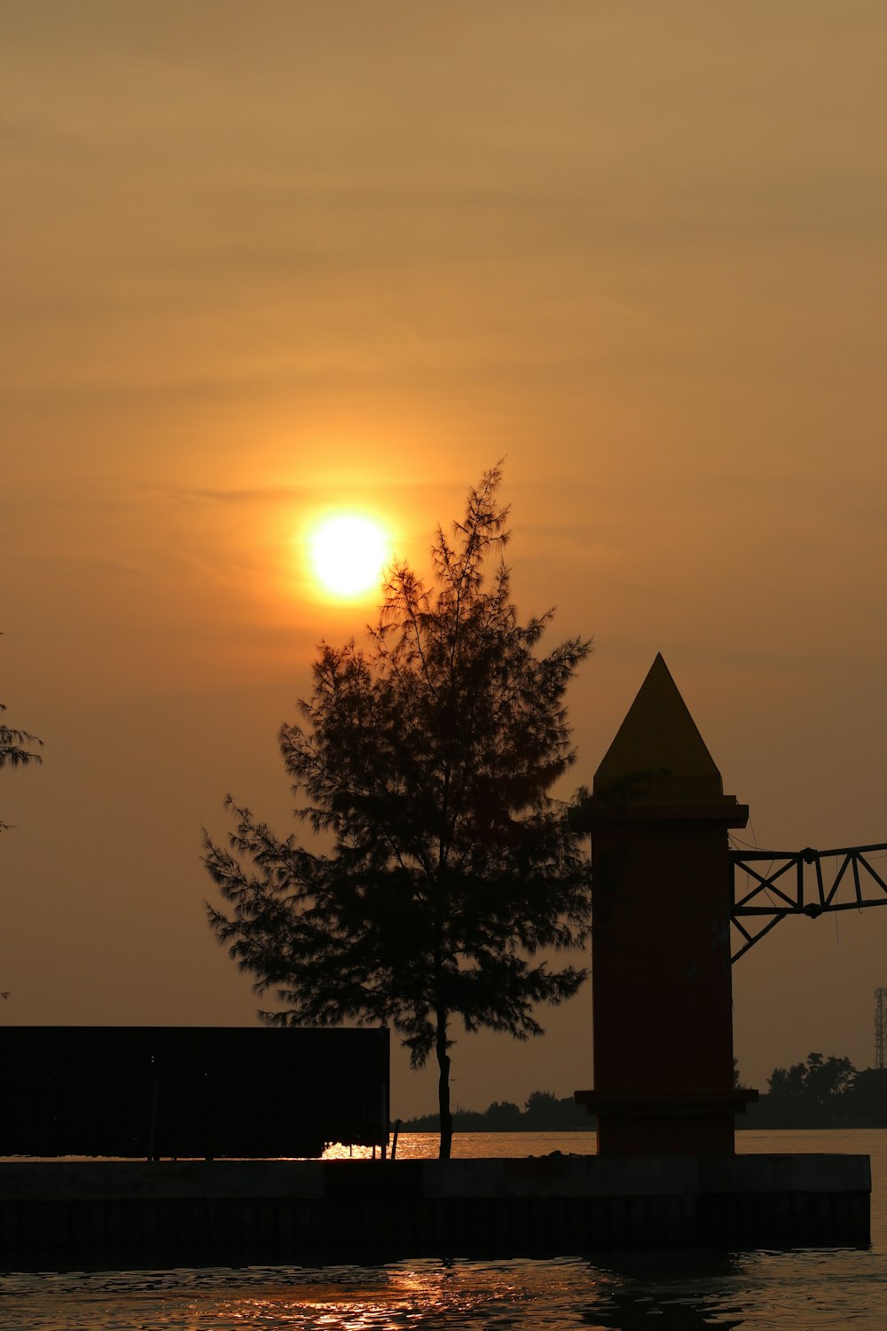 the sun is setting over the water with a tree in the foreground