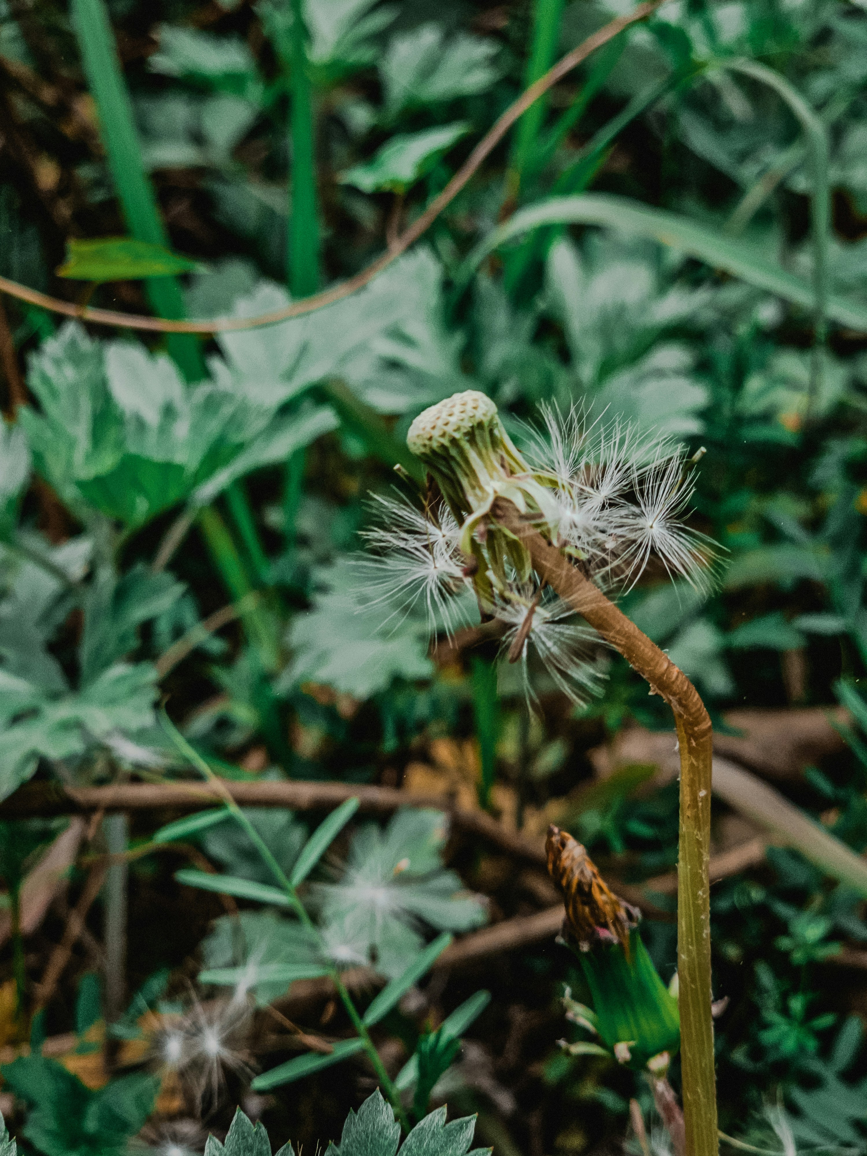 Photo by hypocriteeeee