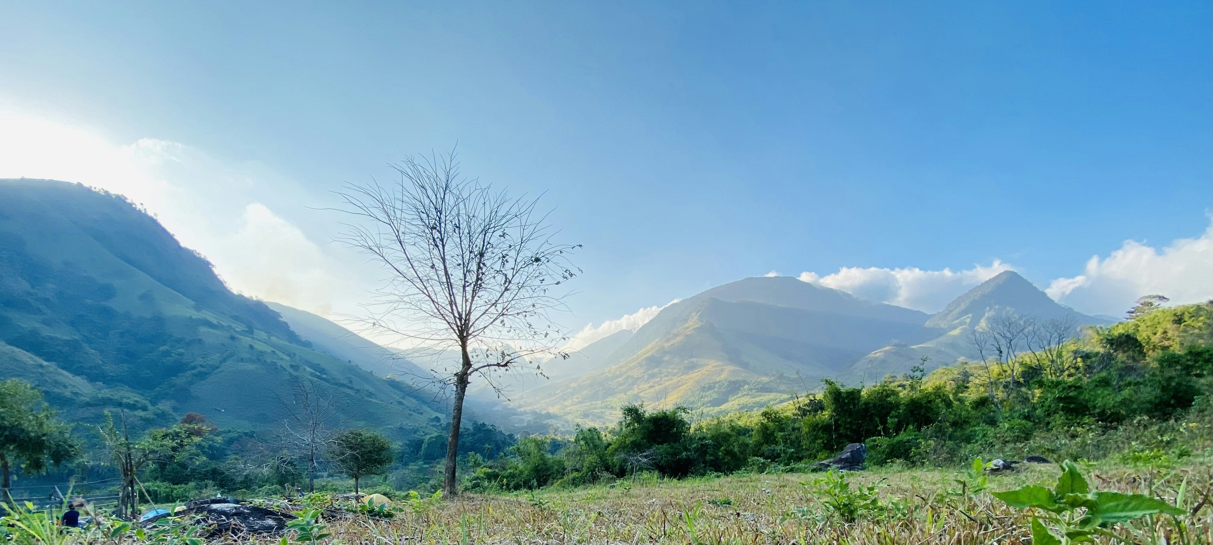 Photo by trantuannghia