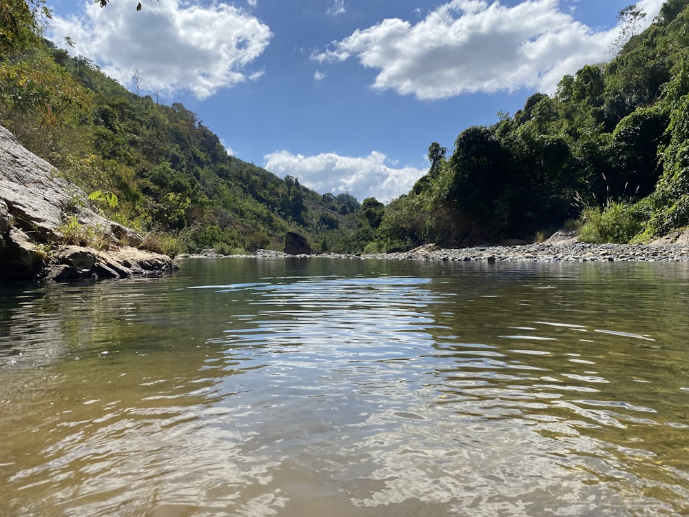 a body of water surrounded by trees and rocks