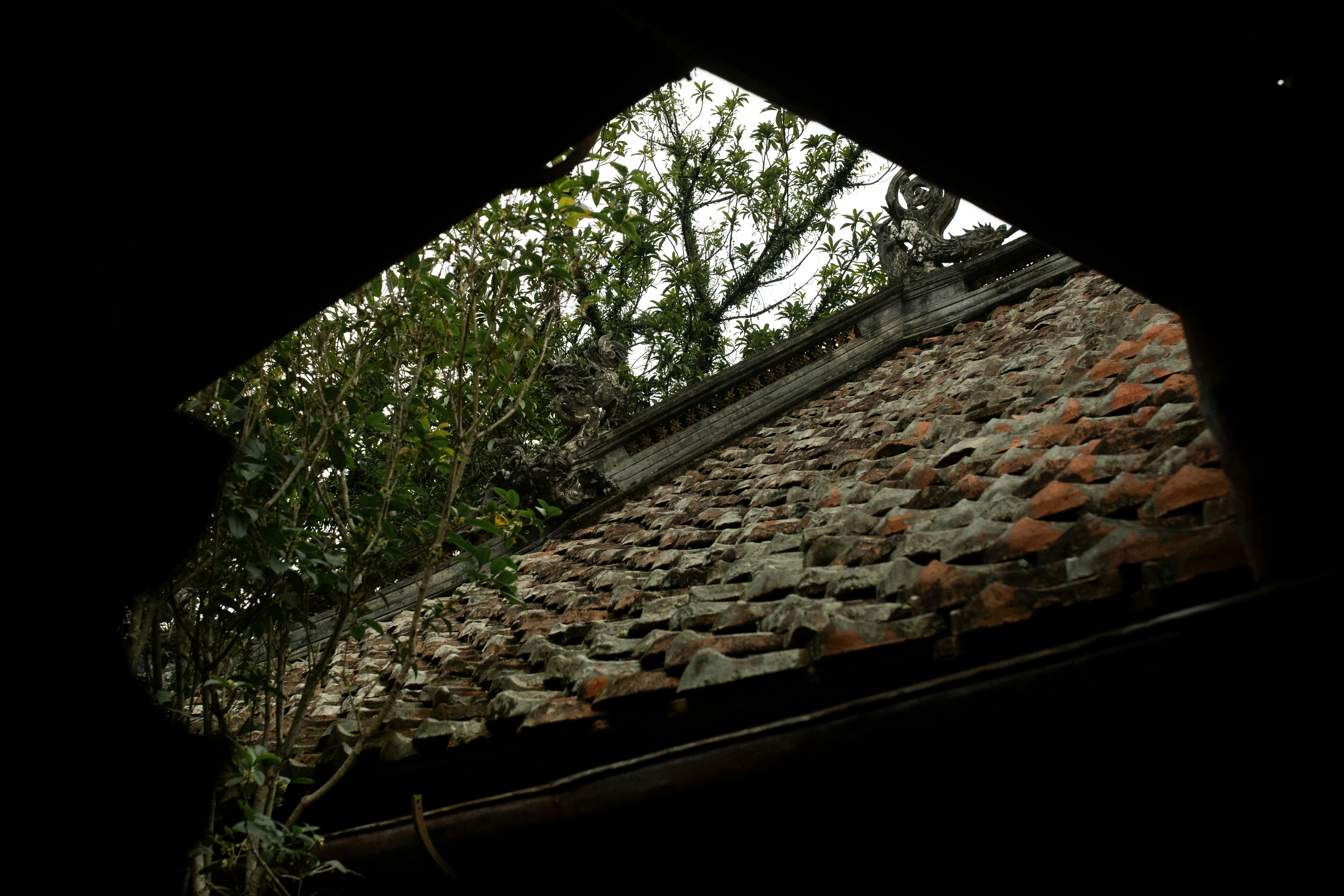 Photo by khoinguyenphithai