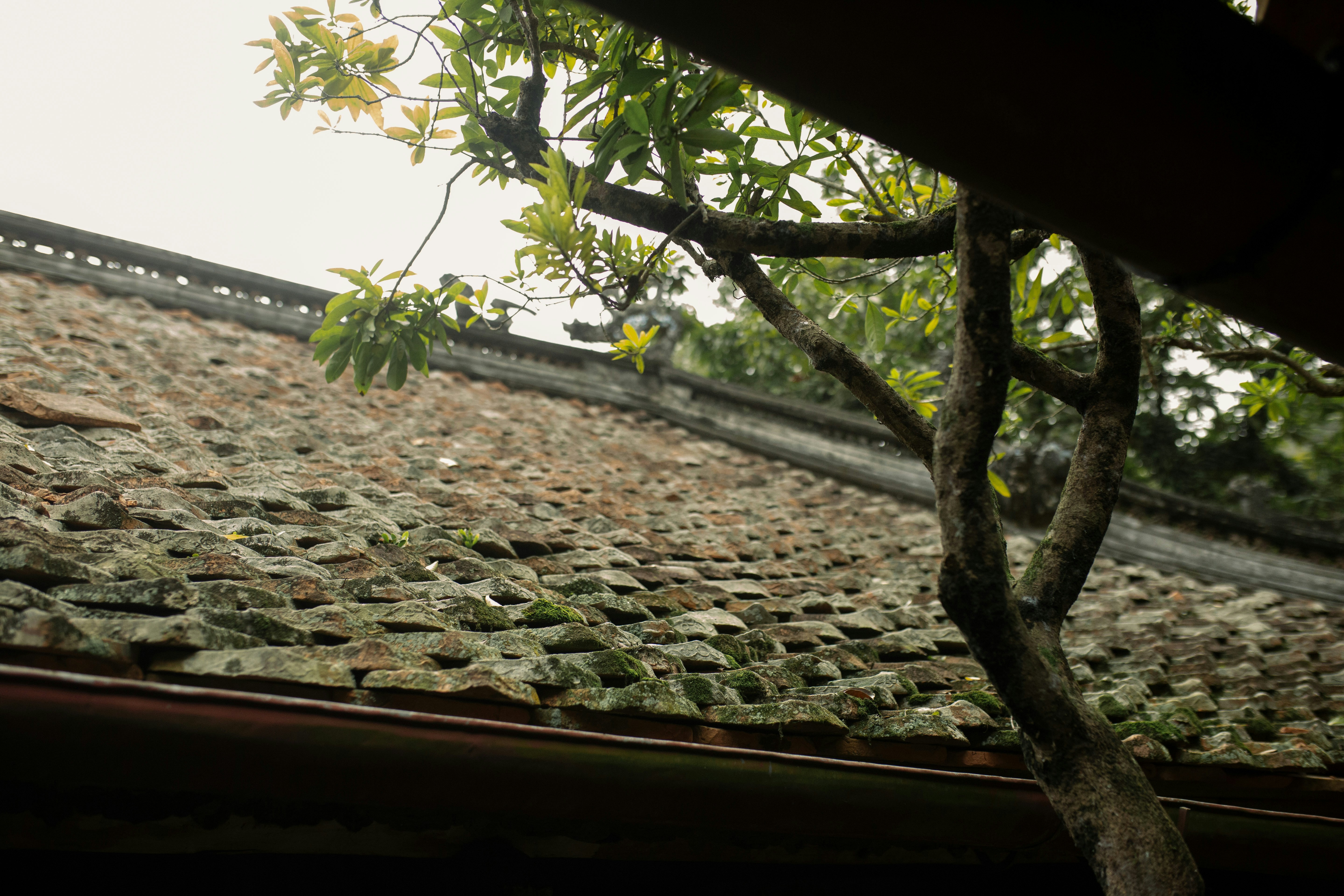 Photo by khoinguyenphithai