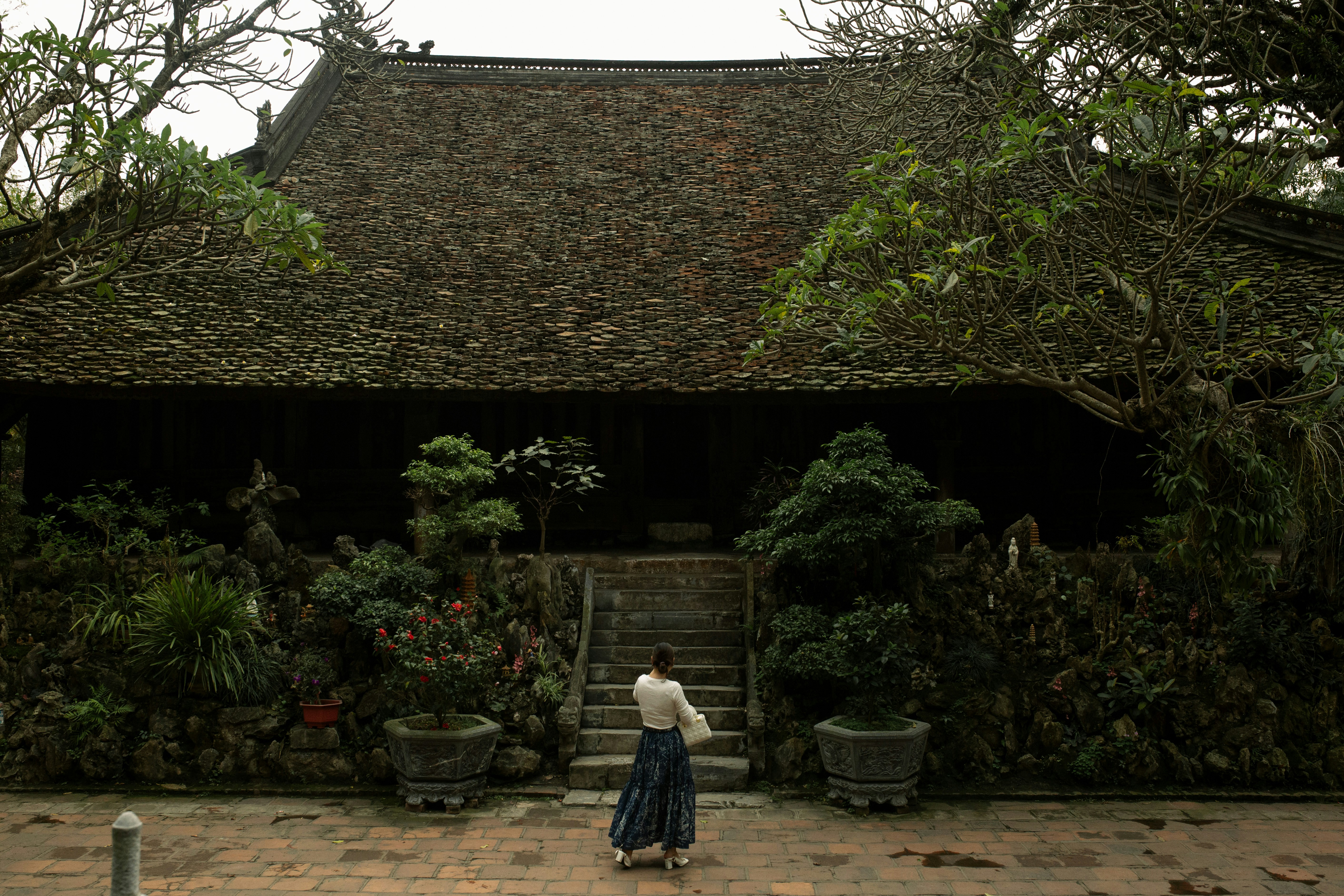 Photo by khoinguyenphithai