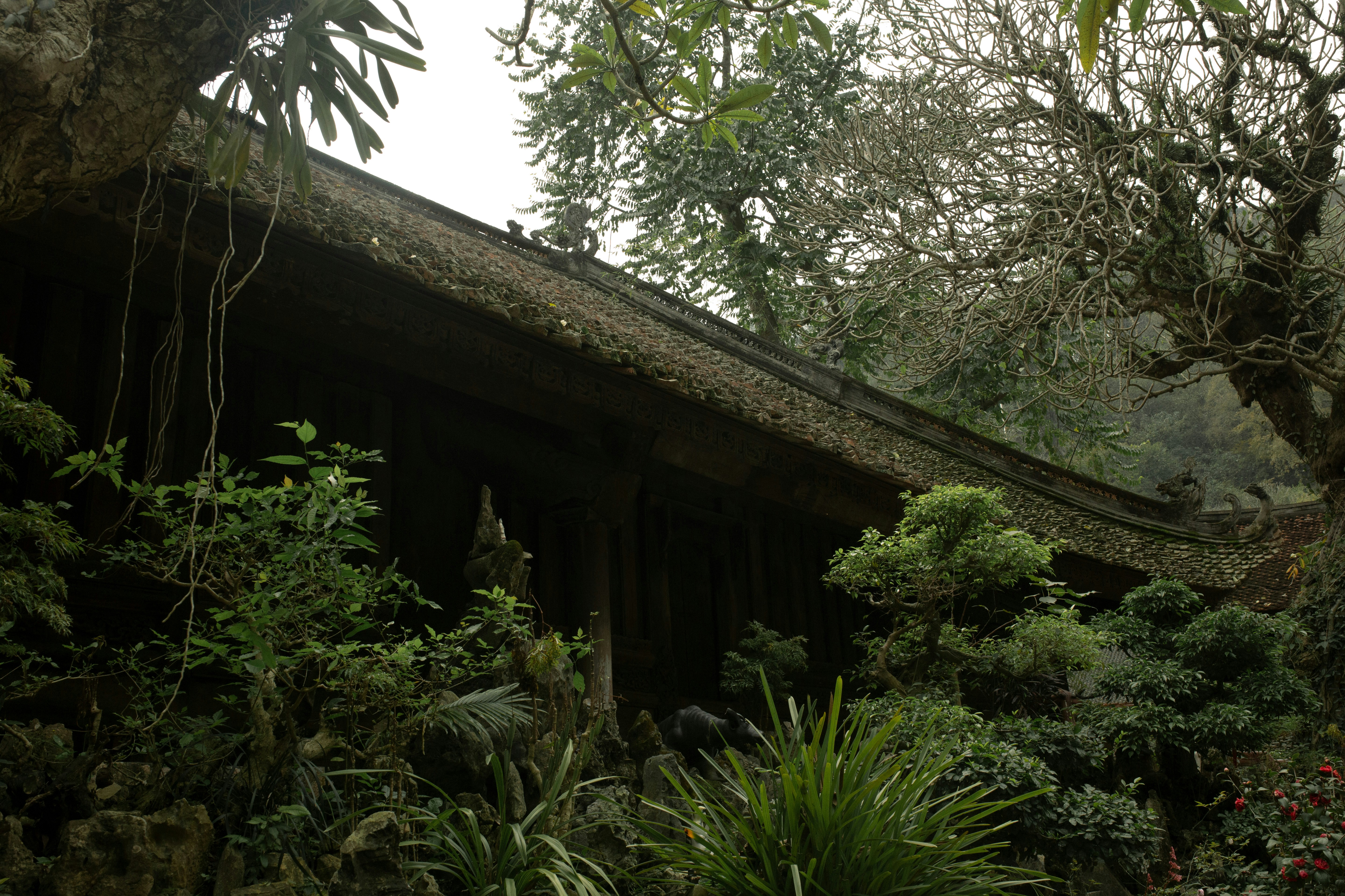 Photo by khoinguyenphithai