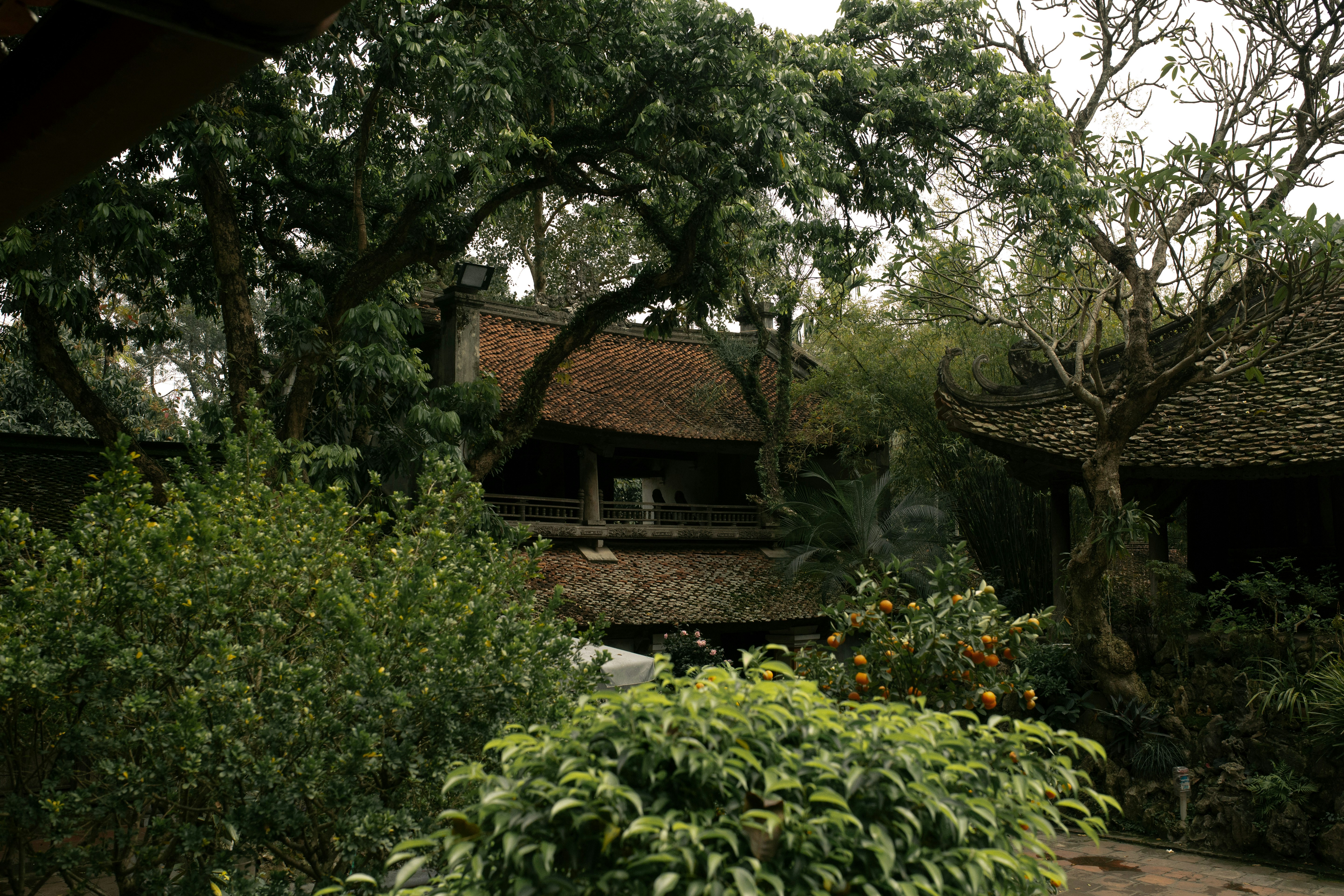 Photo by khoinguyenphithai