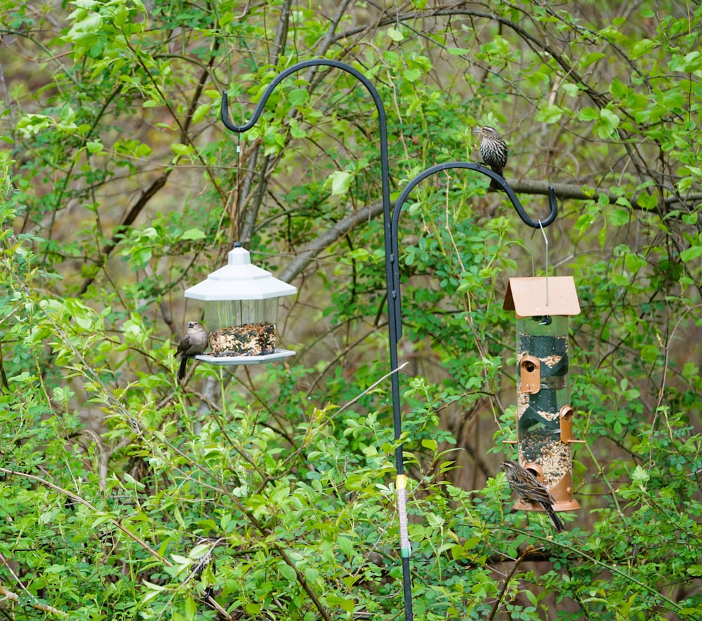 a bird feeder hanging from a metal pole