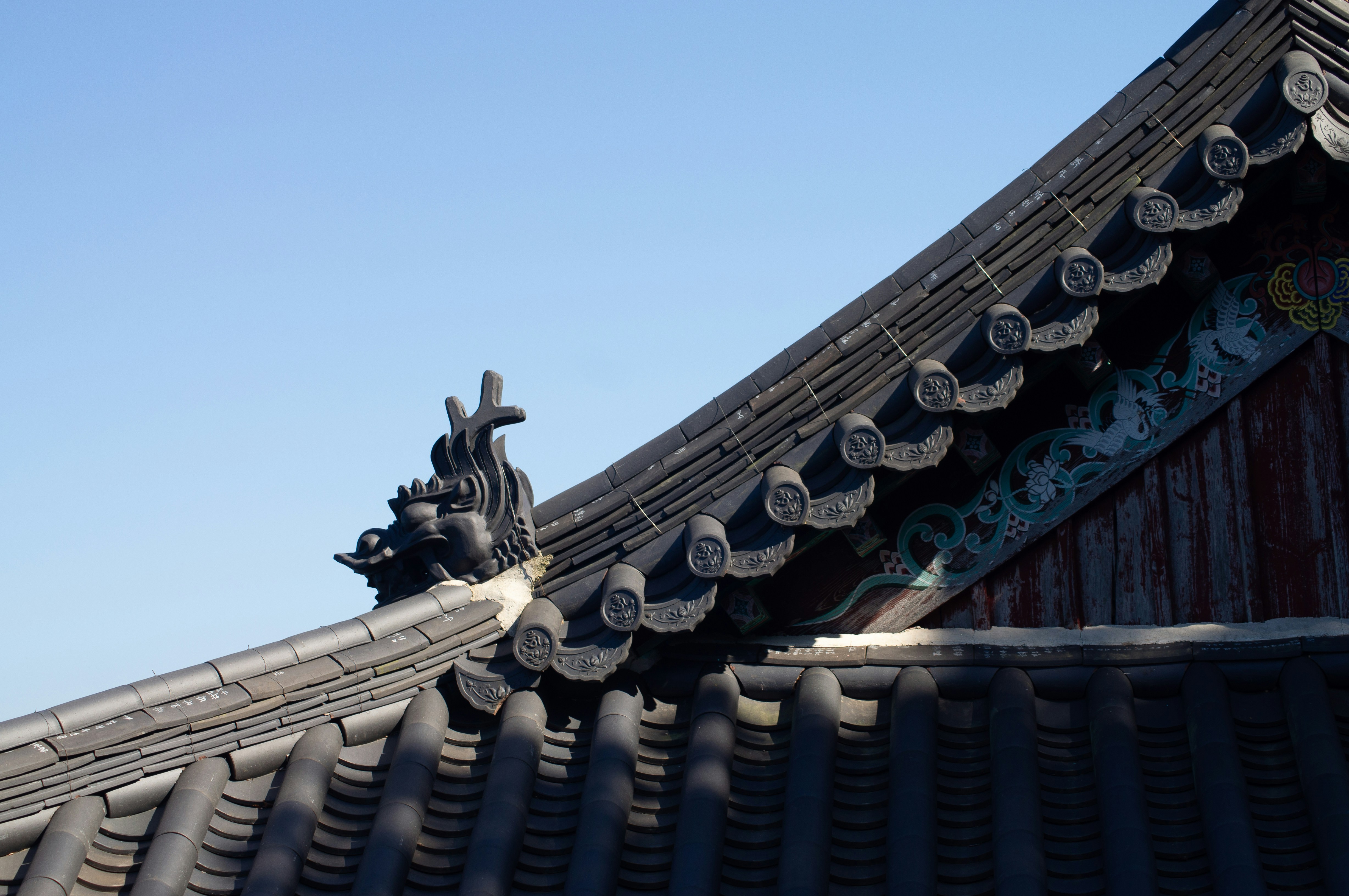 Photo by untitledbirds