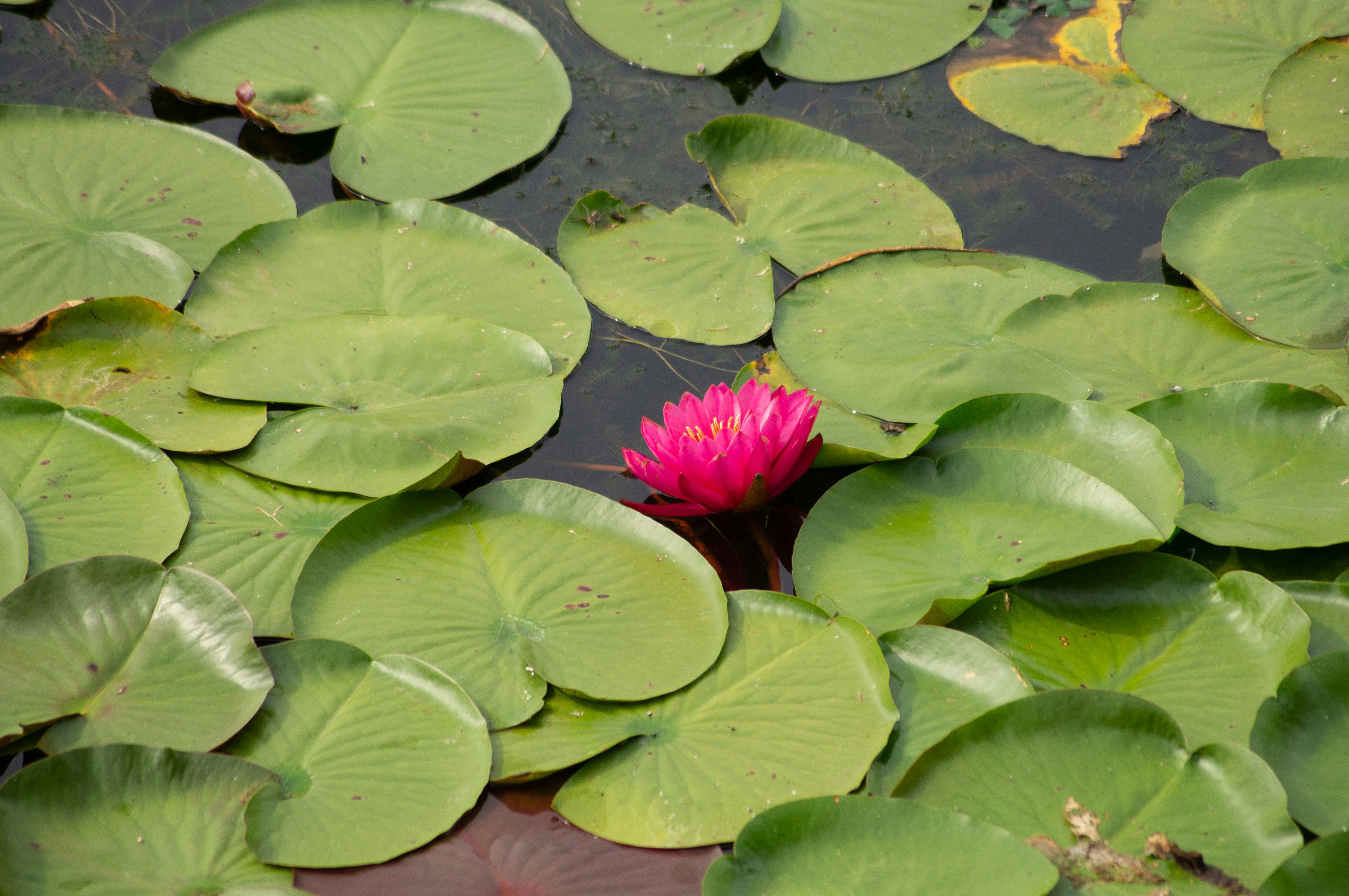 Photo by untitledbirds