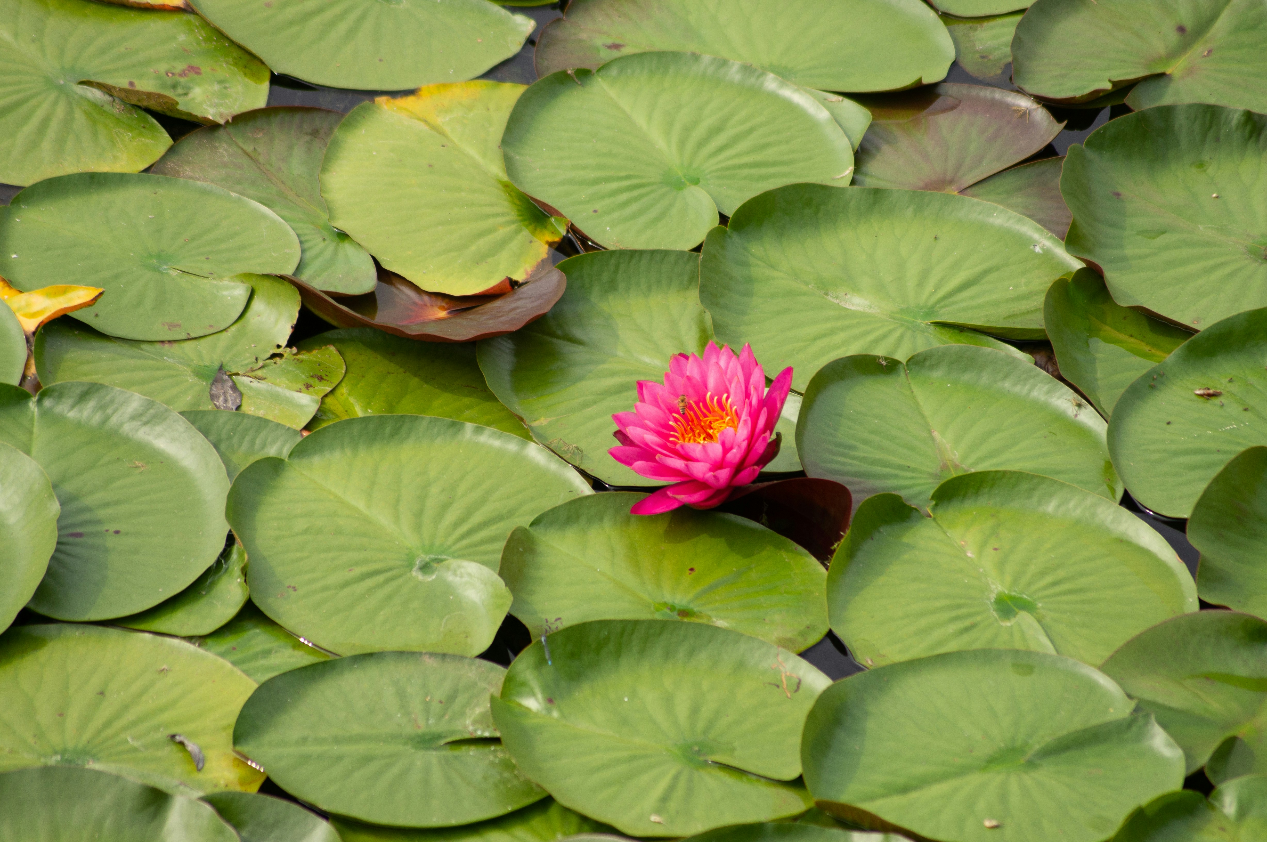 Photo by untitledbirds