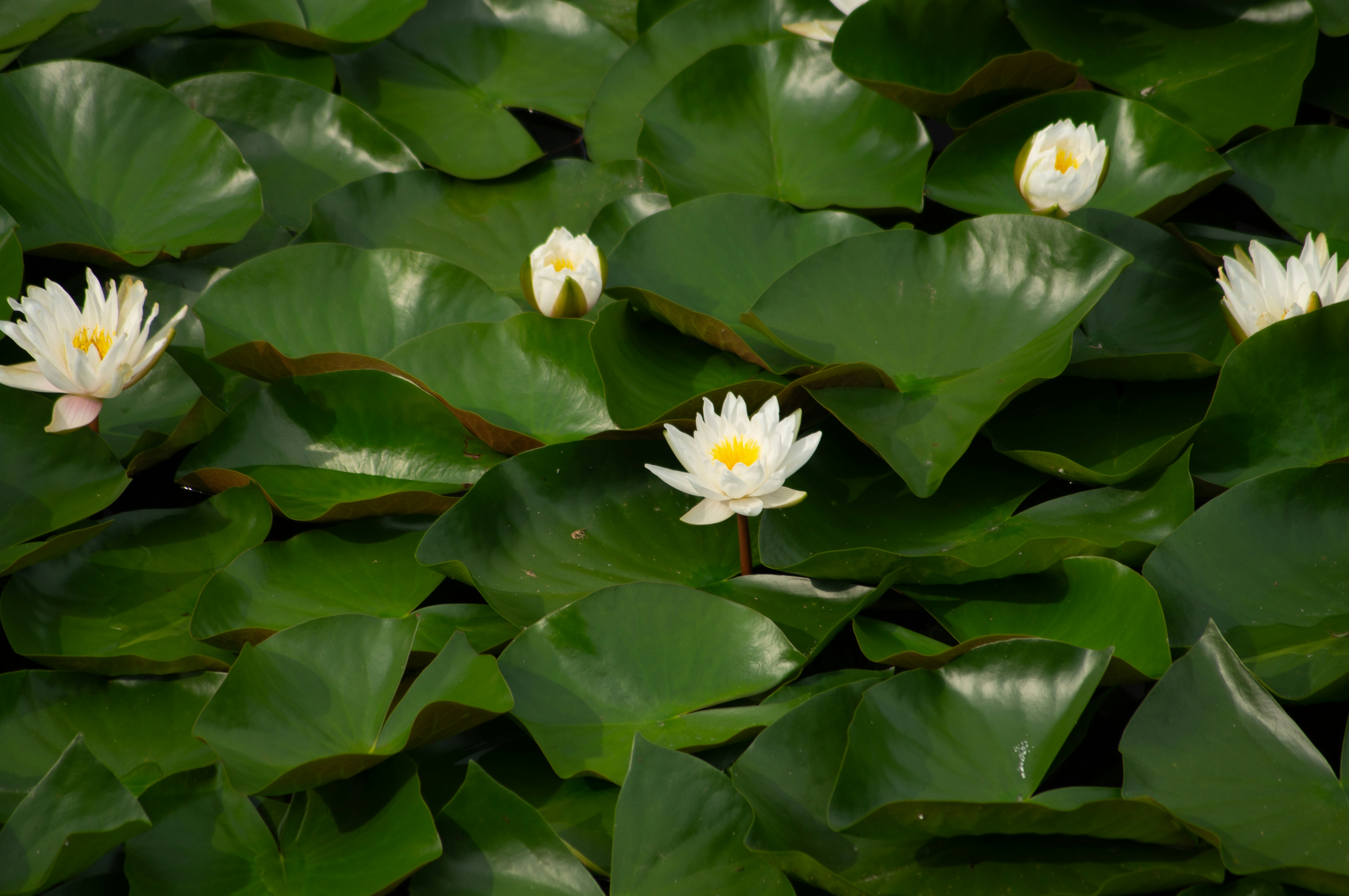 Photo by untitledbirds