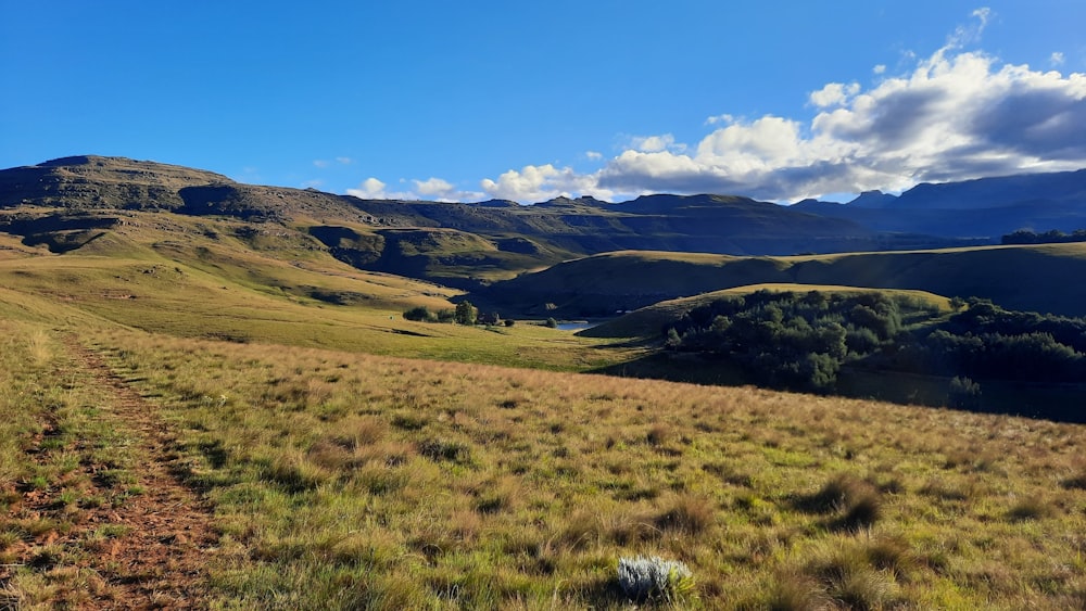 a grassy field with mountains in the background