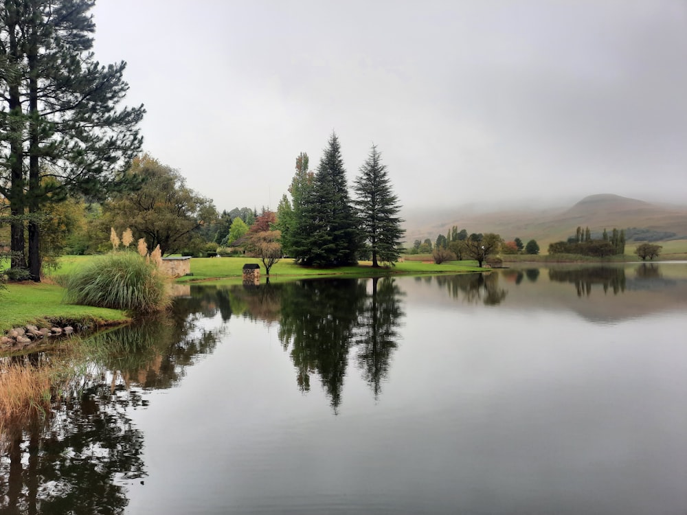 a large body of water surrounded by trees