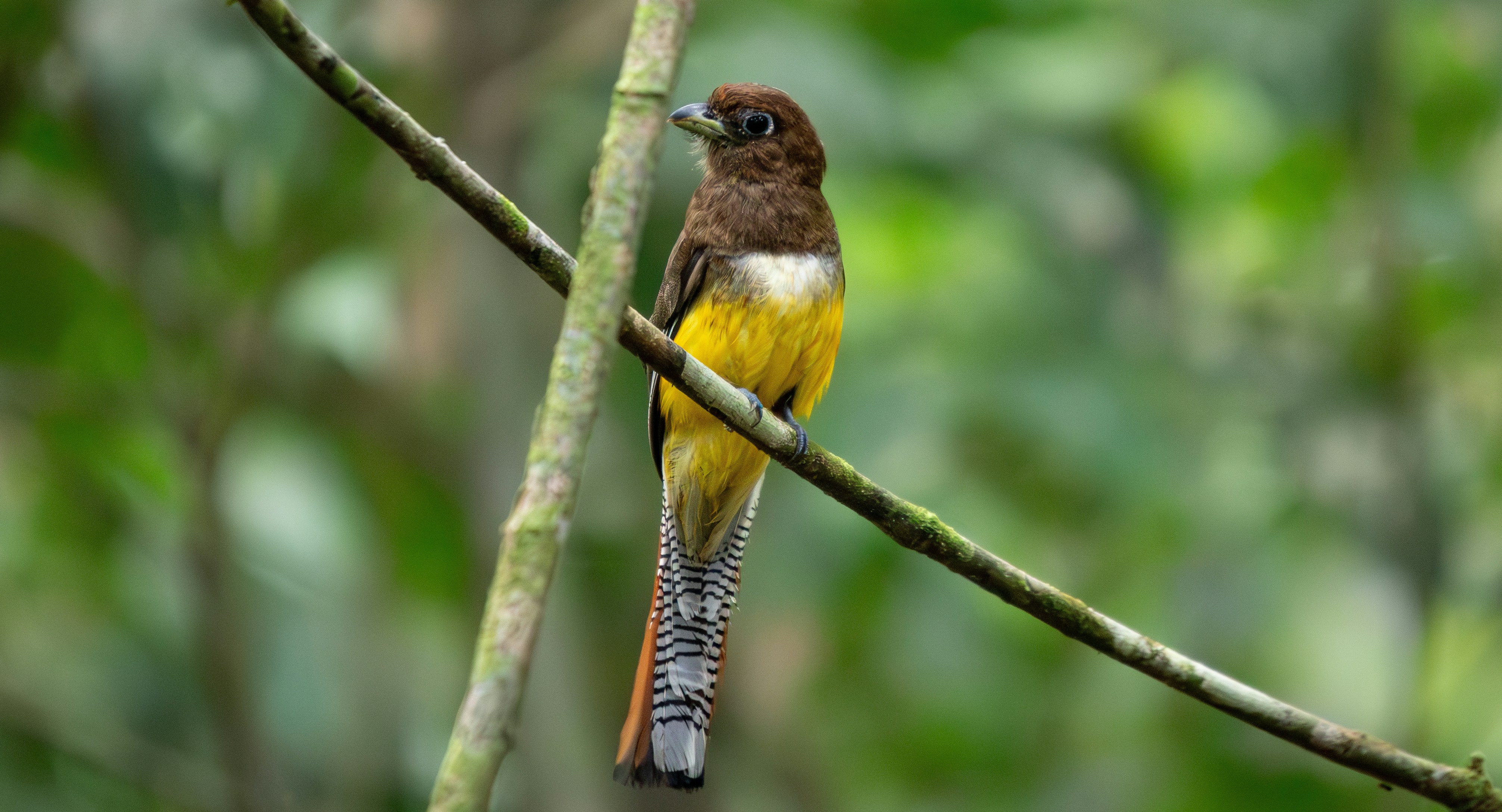 Accommodation in Costa Rica
