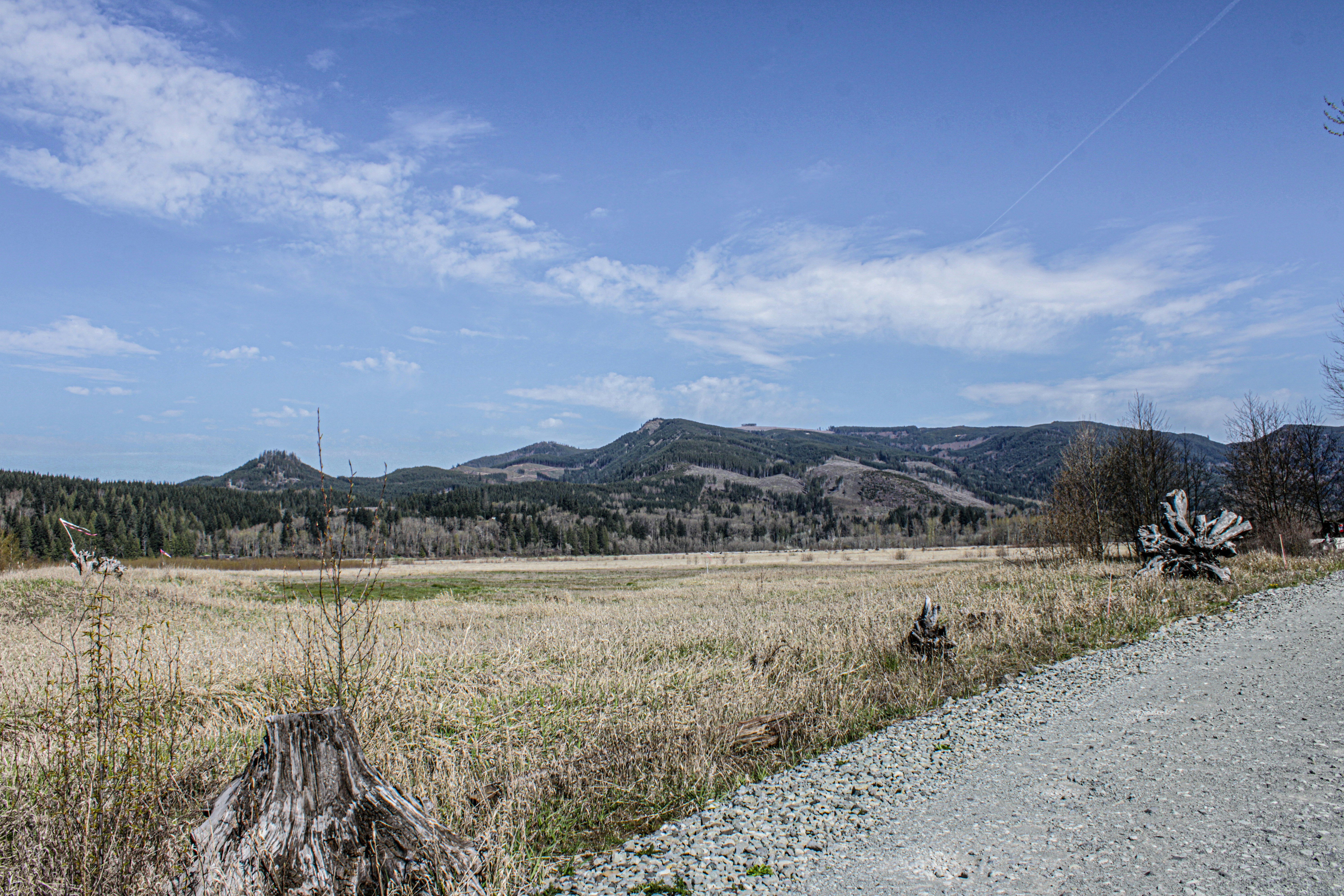 Photo by prphotography262