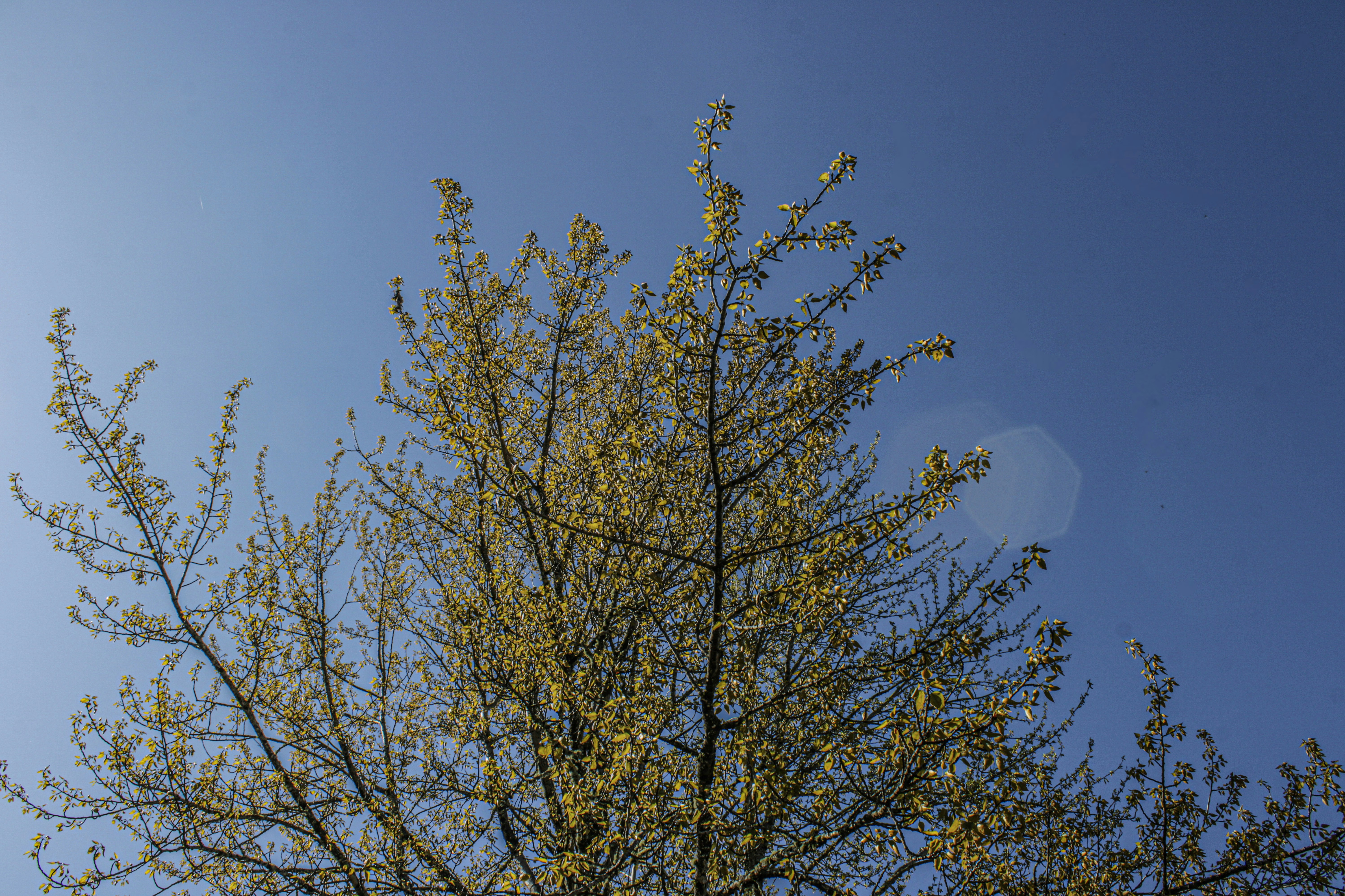 Photo by prphotography262