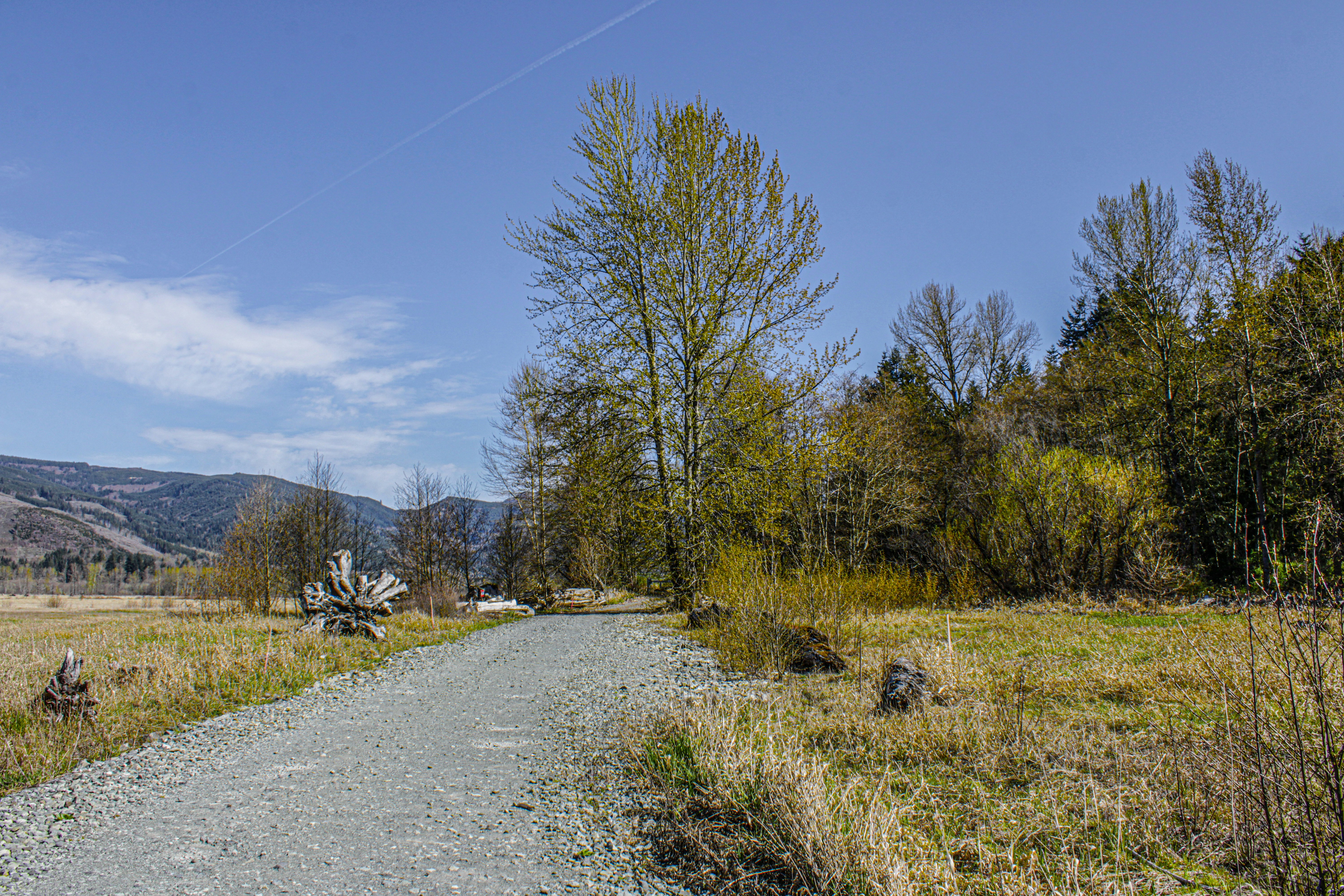 Photo by prphotography262