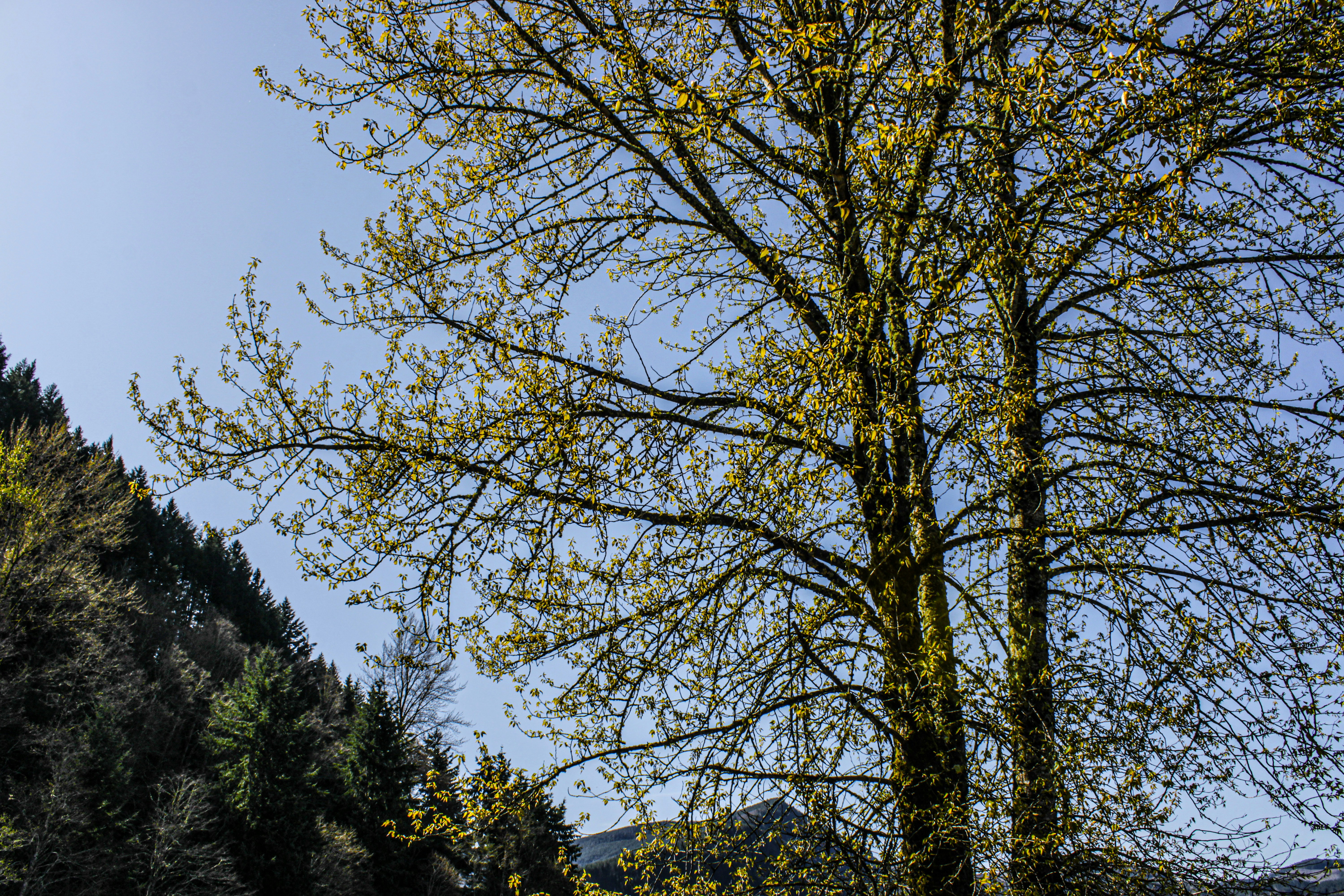 Photo by prphotography262