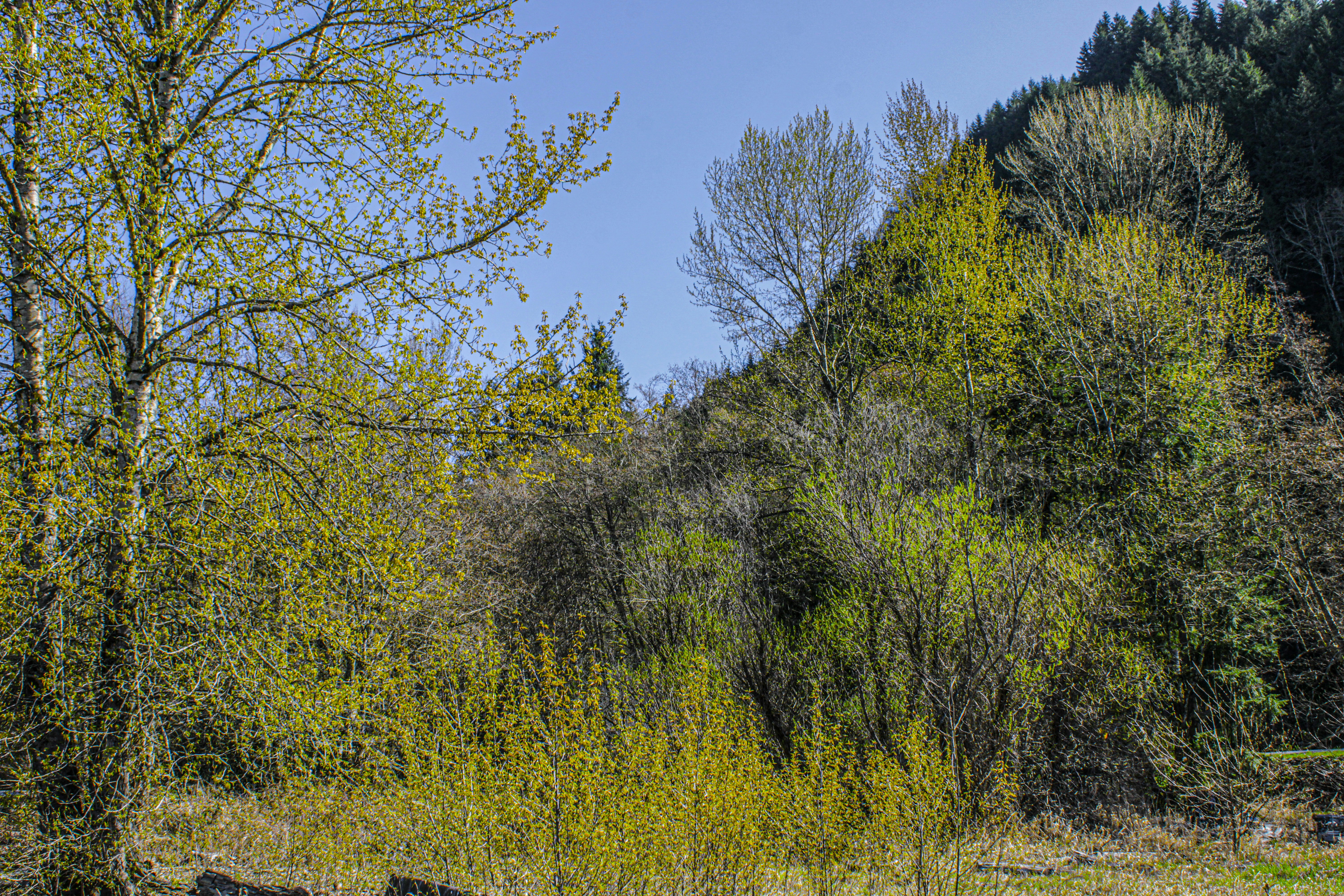 Photo by prphotography262