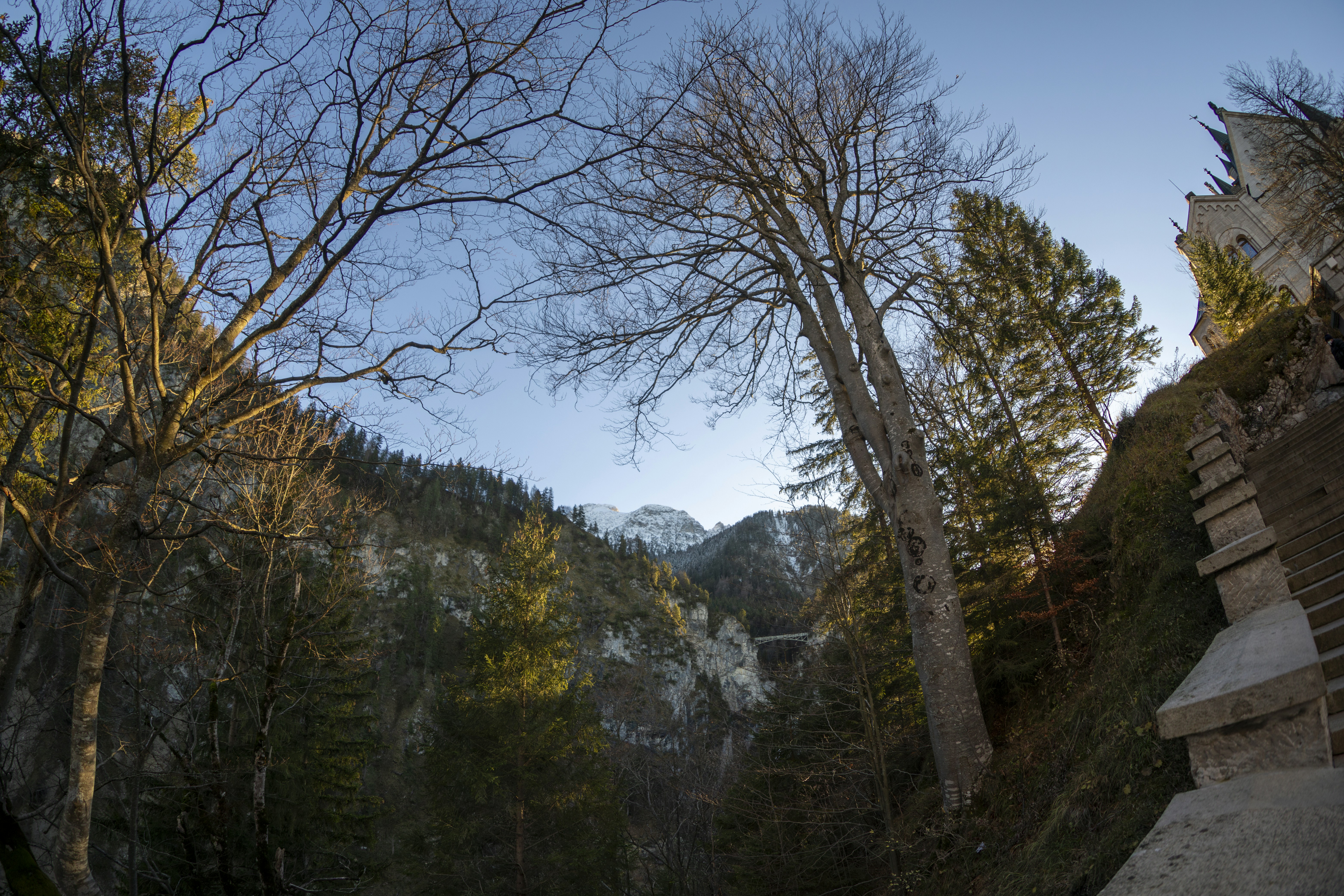 Photo by colemarshall