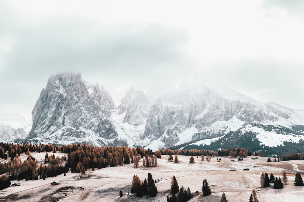 a snowy mountain range with pine trees and mountains in the background