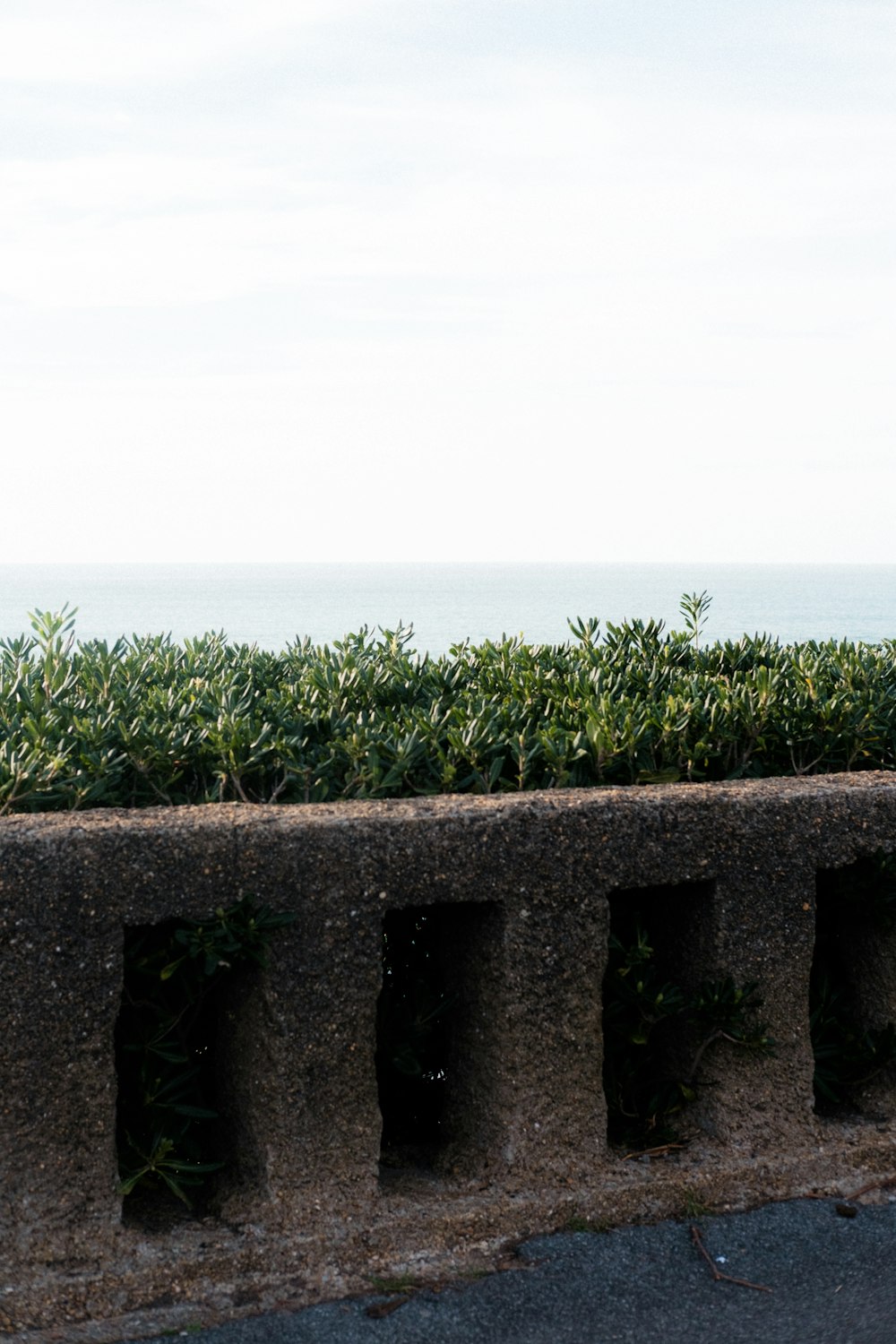 a man riding a skateboard down the side of a road