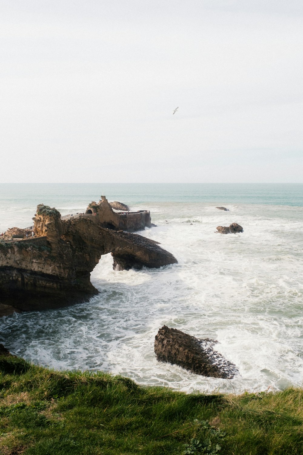 a bird flying over a body of water