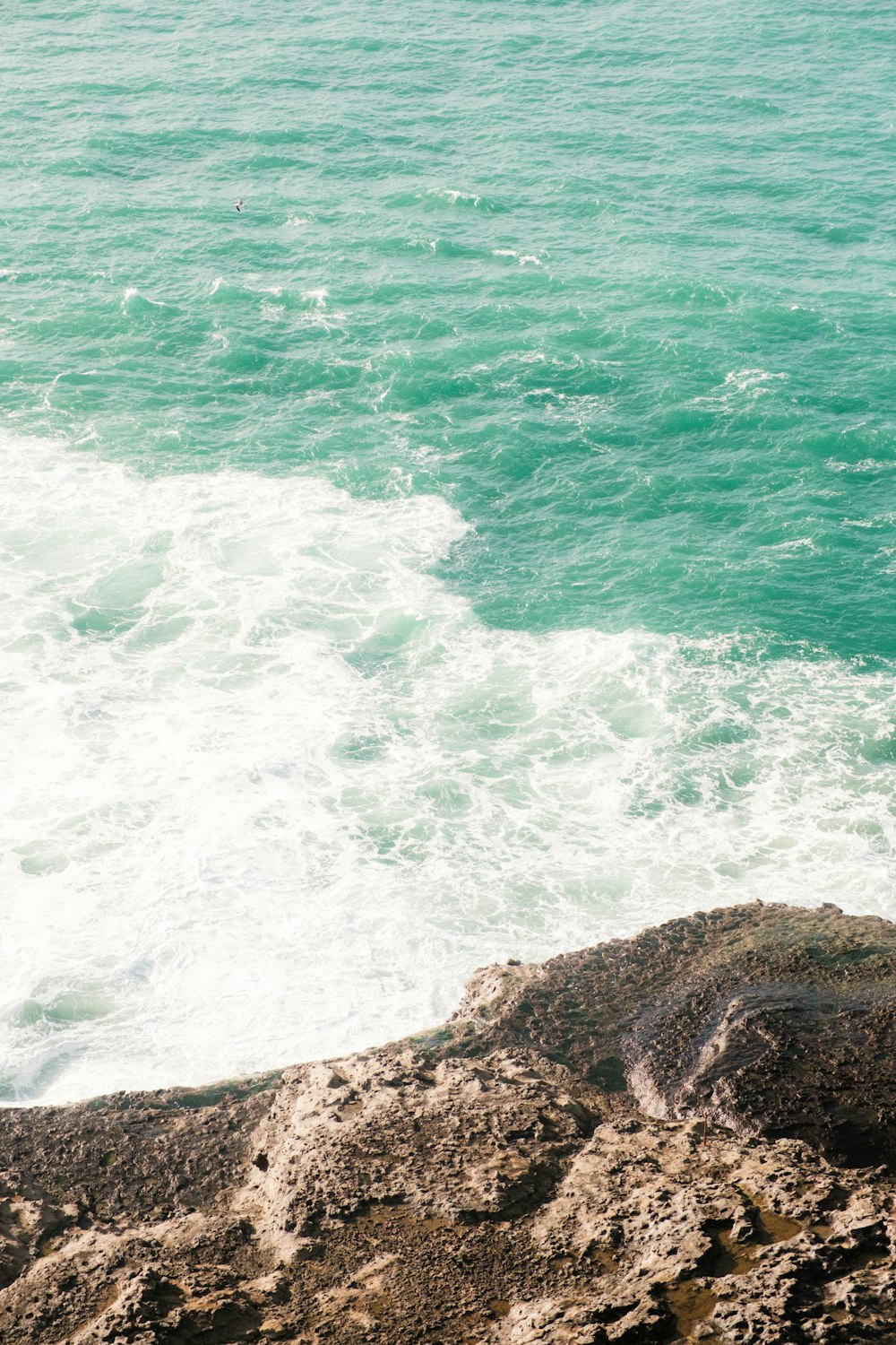 a person sitting on a rock looking out at the ocean