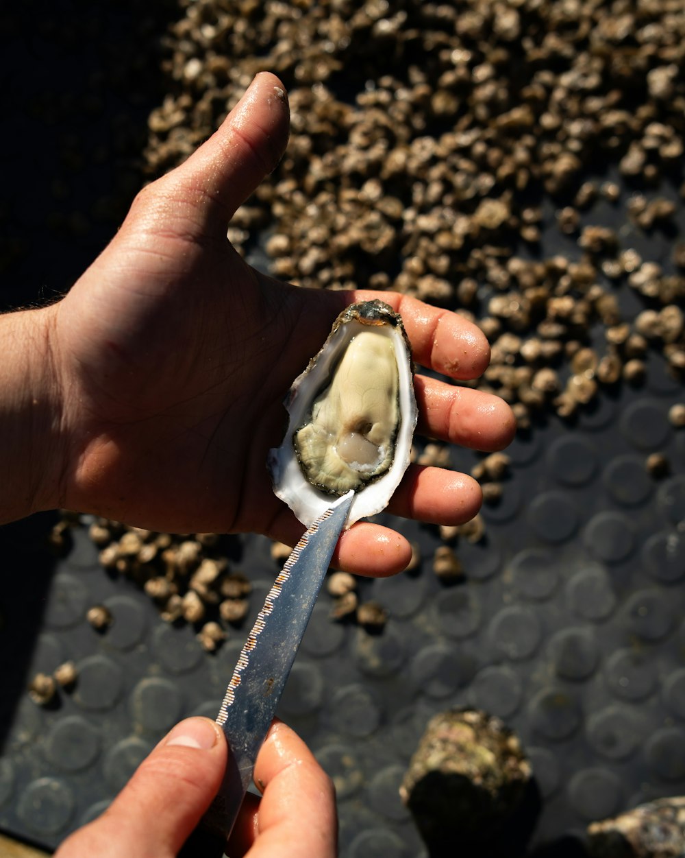 a person holding a knife and a half eaten oyster