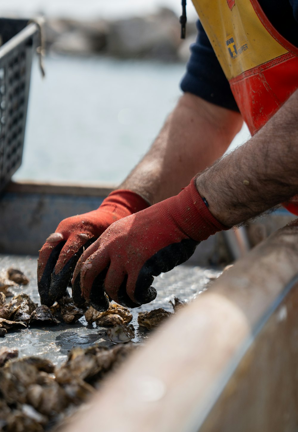 a man in a yellow shirt and red gloves is sorting oysters