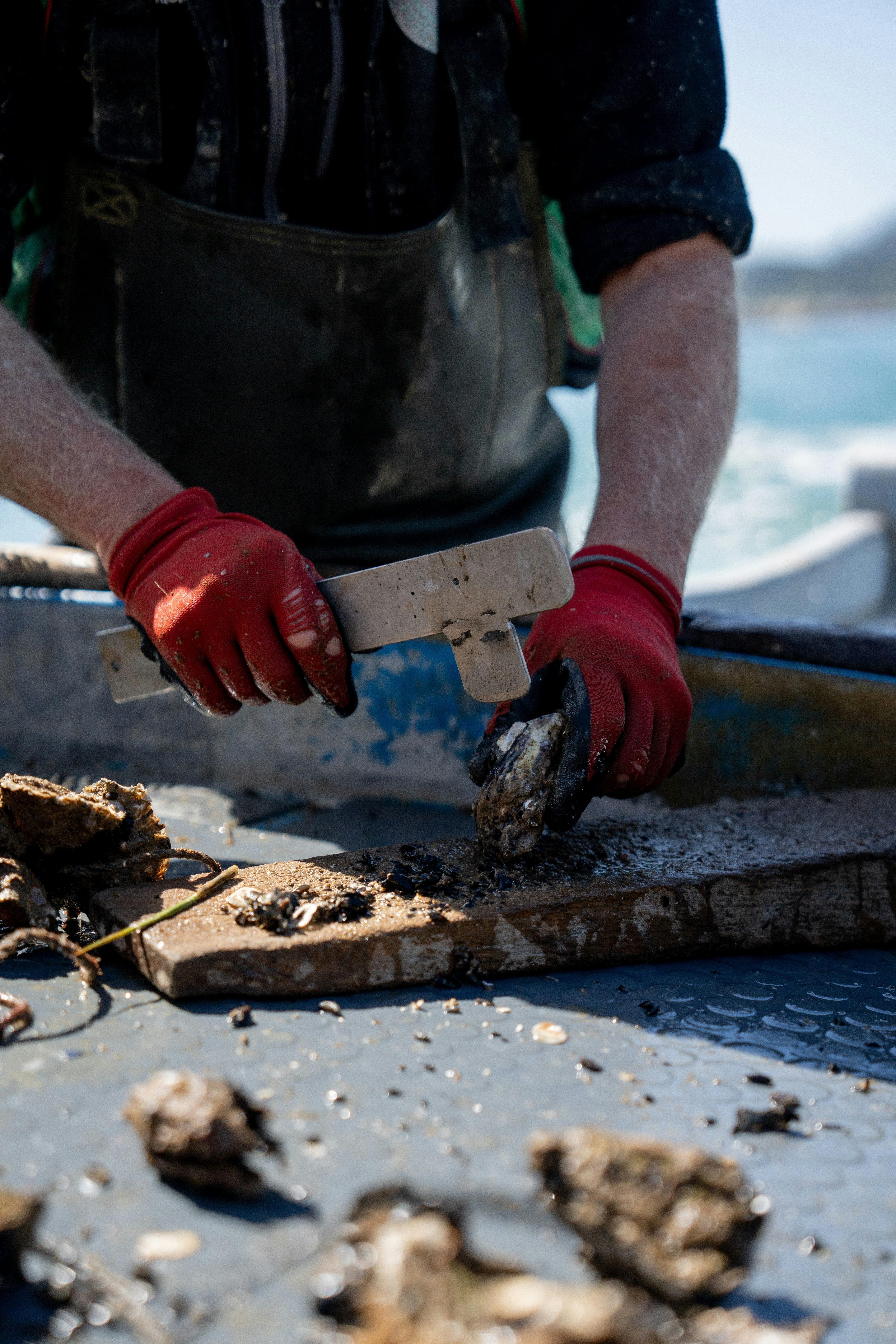 Photo by mitiliemitili