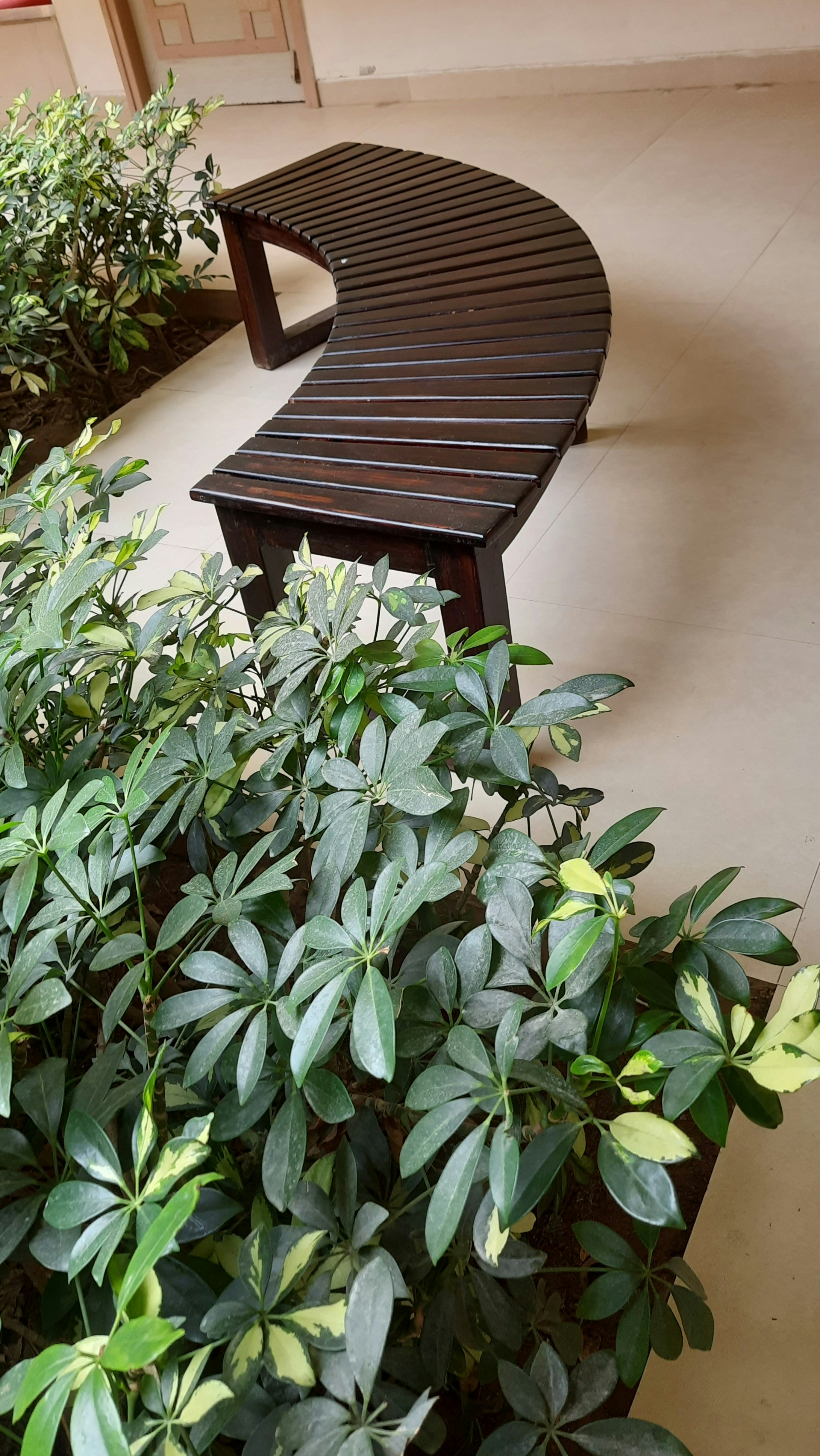 a wooden bench sitting in the middle of a garden