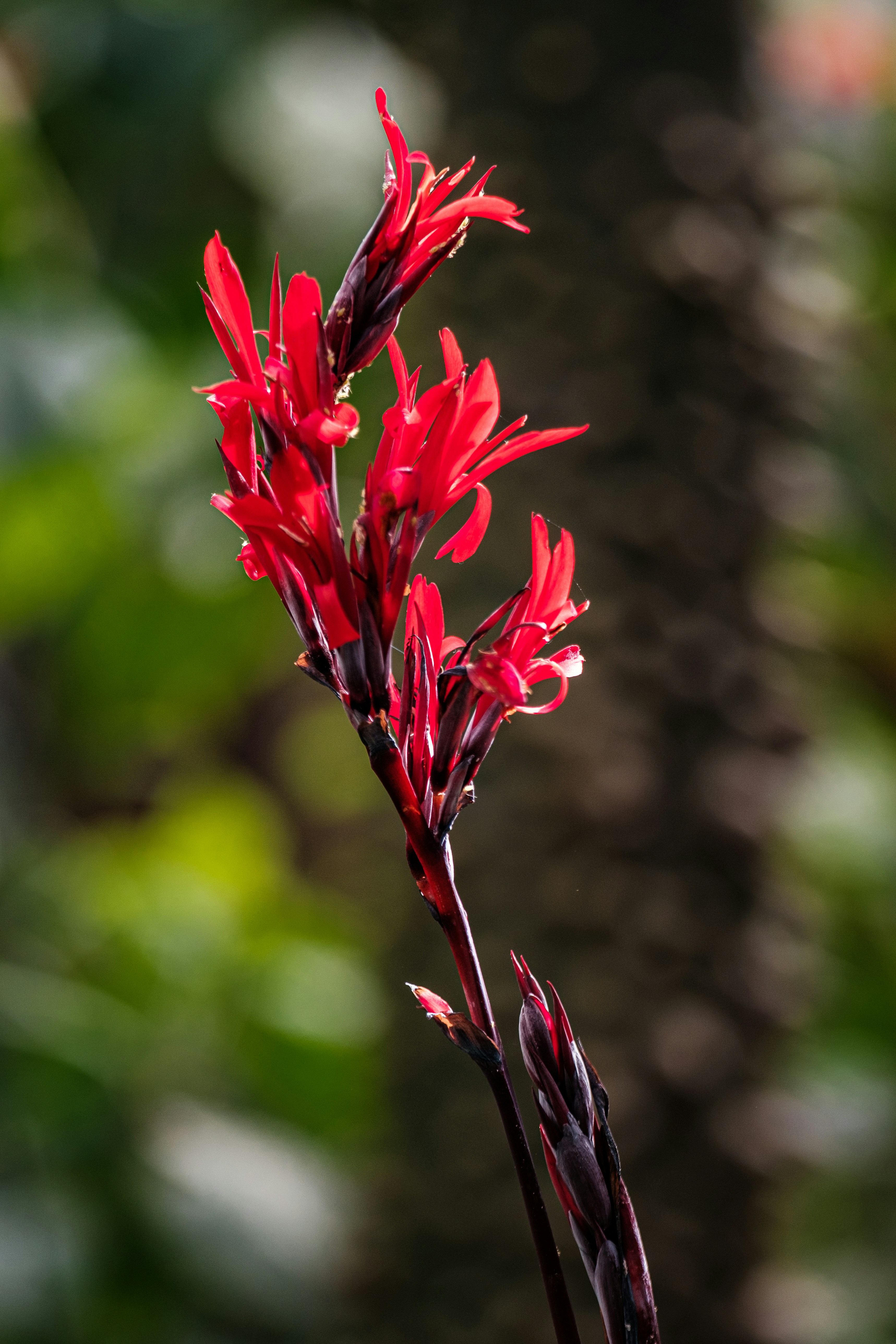 Photo by haberdoedas2