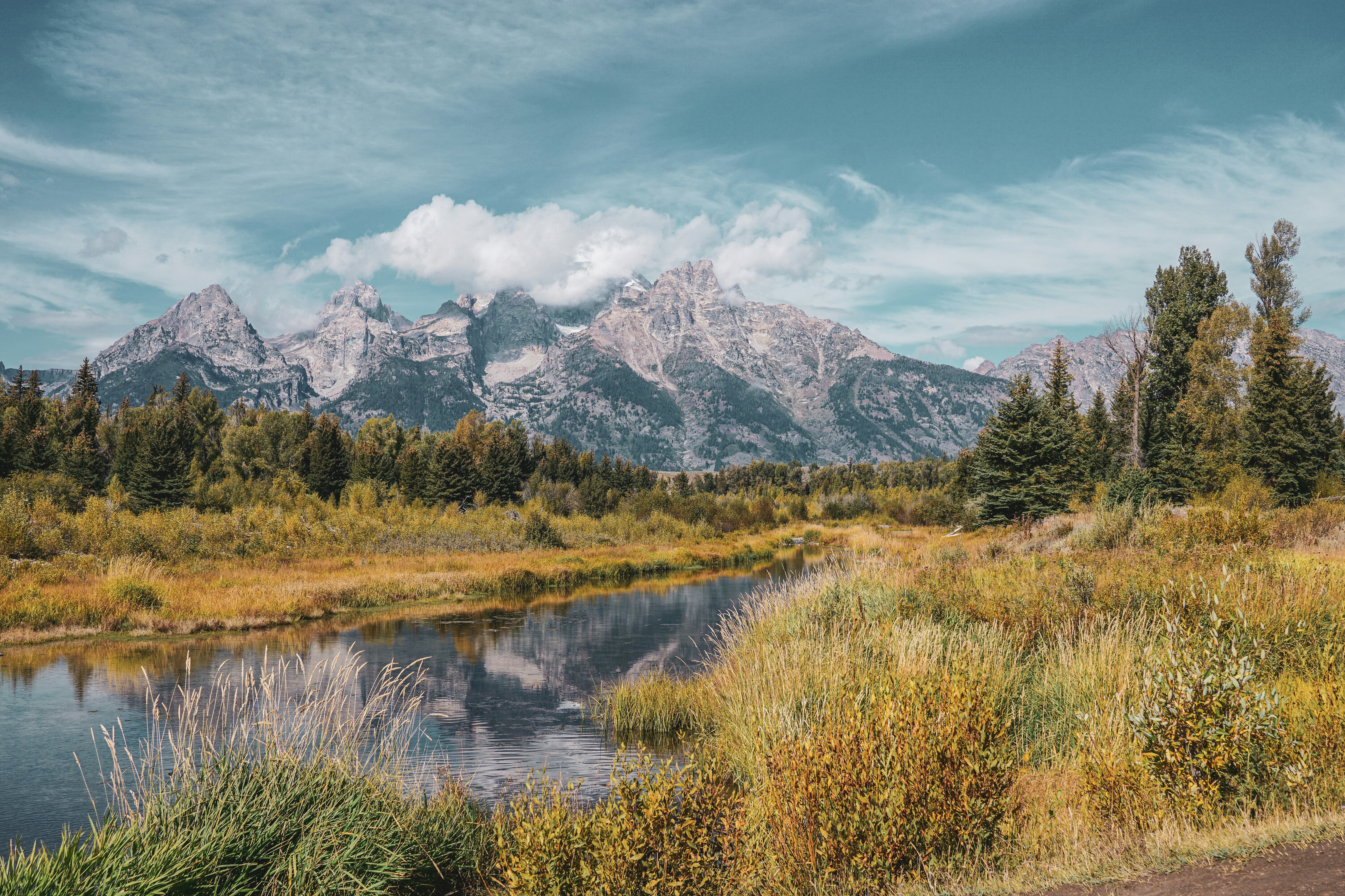 Photo by ayorkdesigns