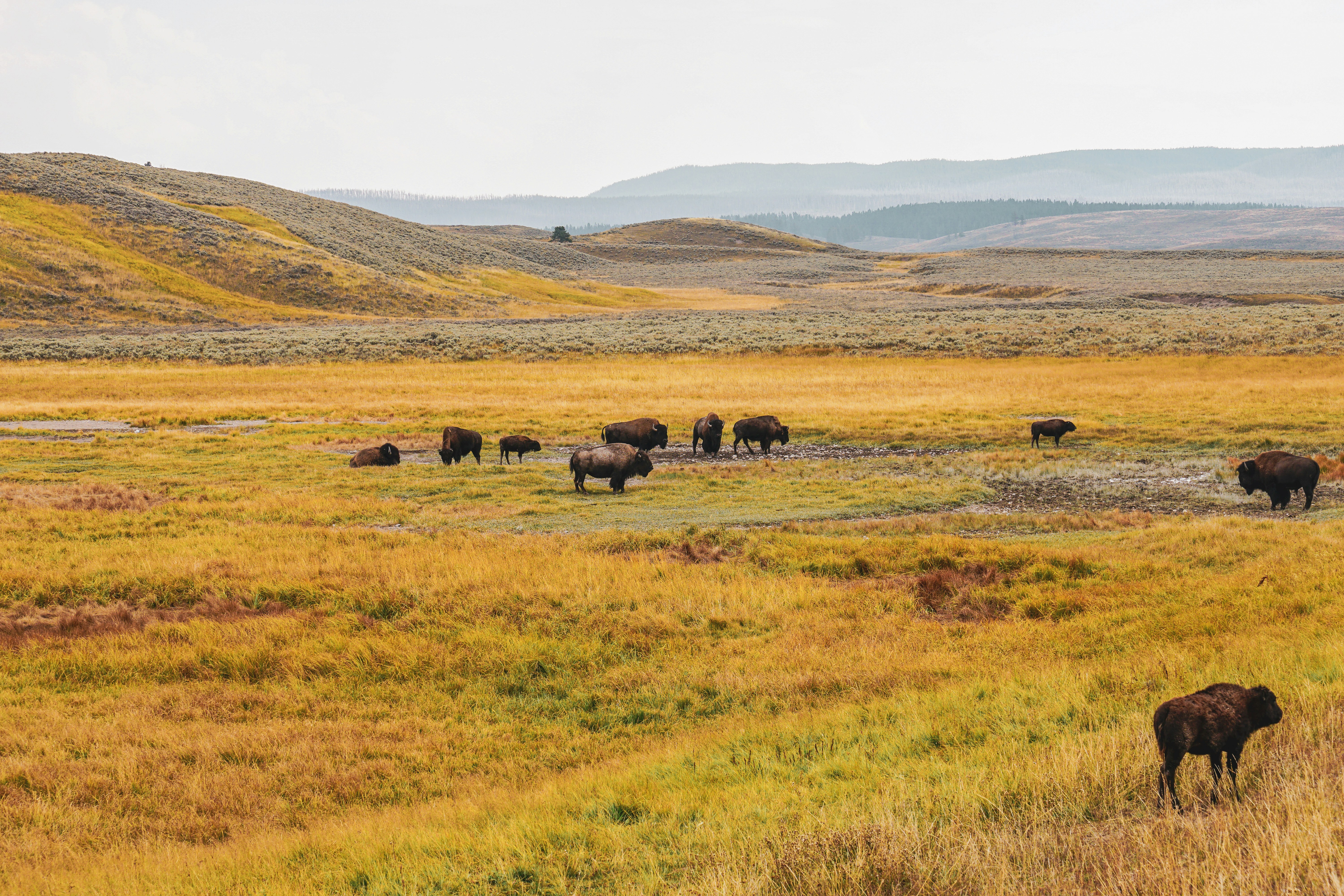 Photo by ayorkdesigns