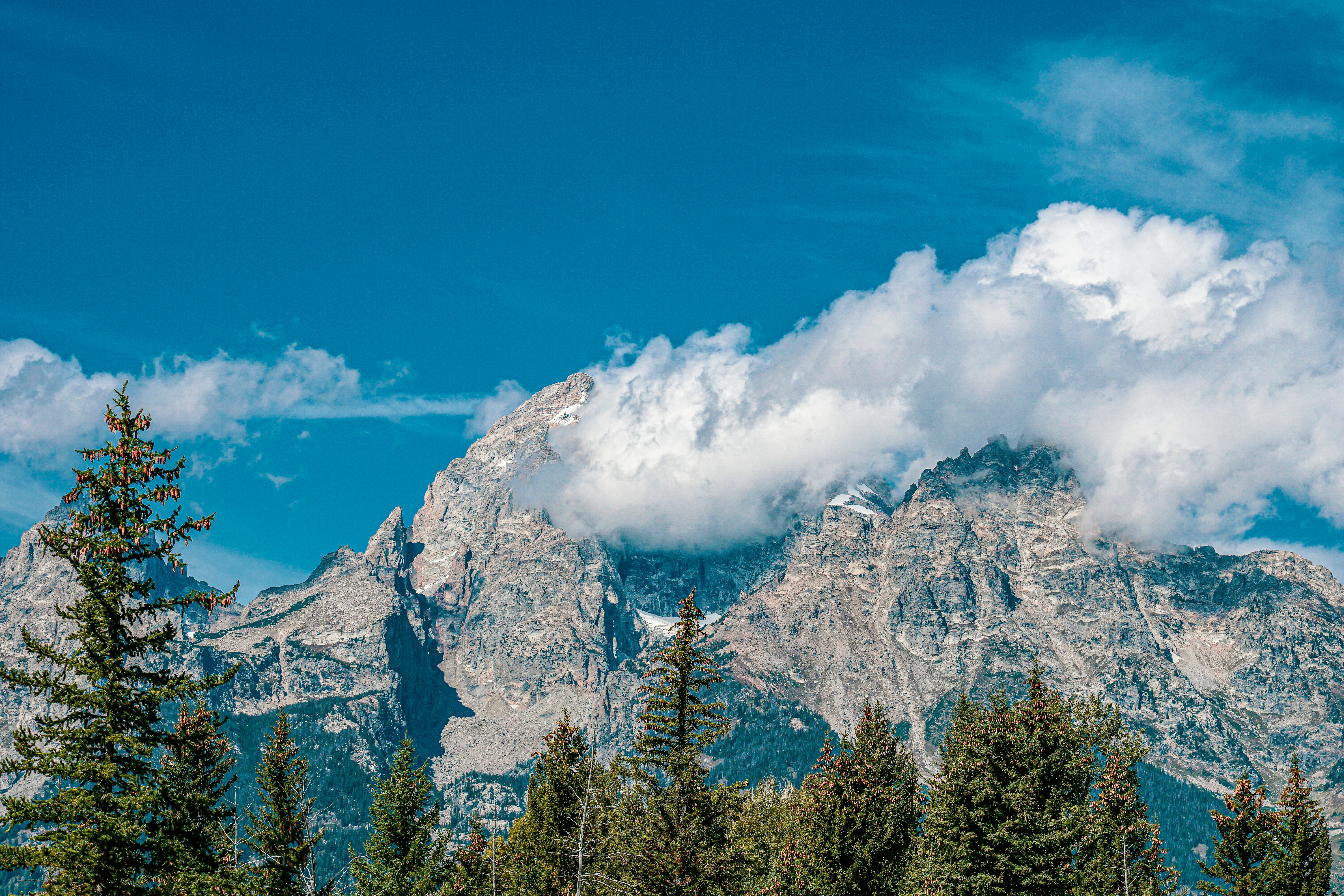 Photo by ayorkdesigns