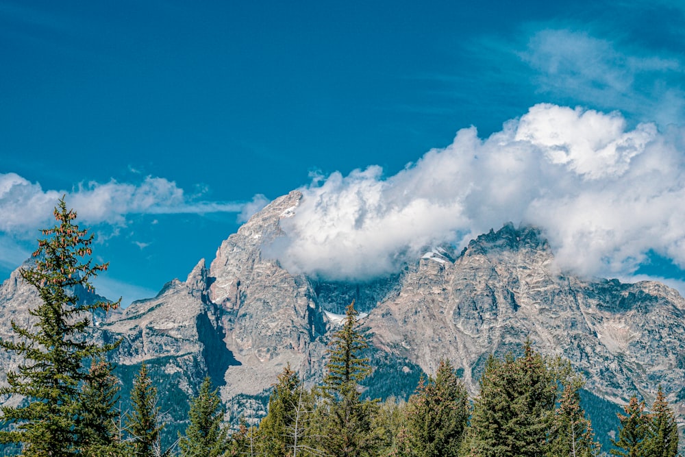 a mountain range with trees in the foreground and clouds in the background