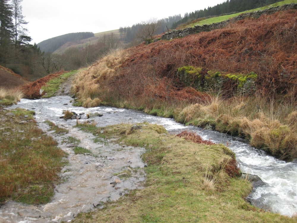 a stream running through a lush green hillside