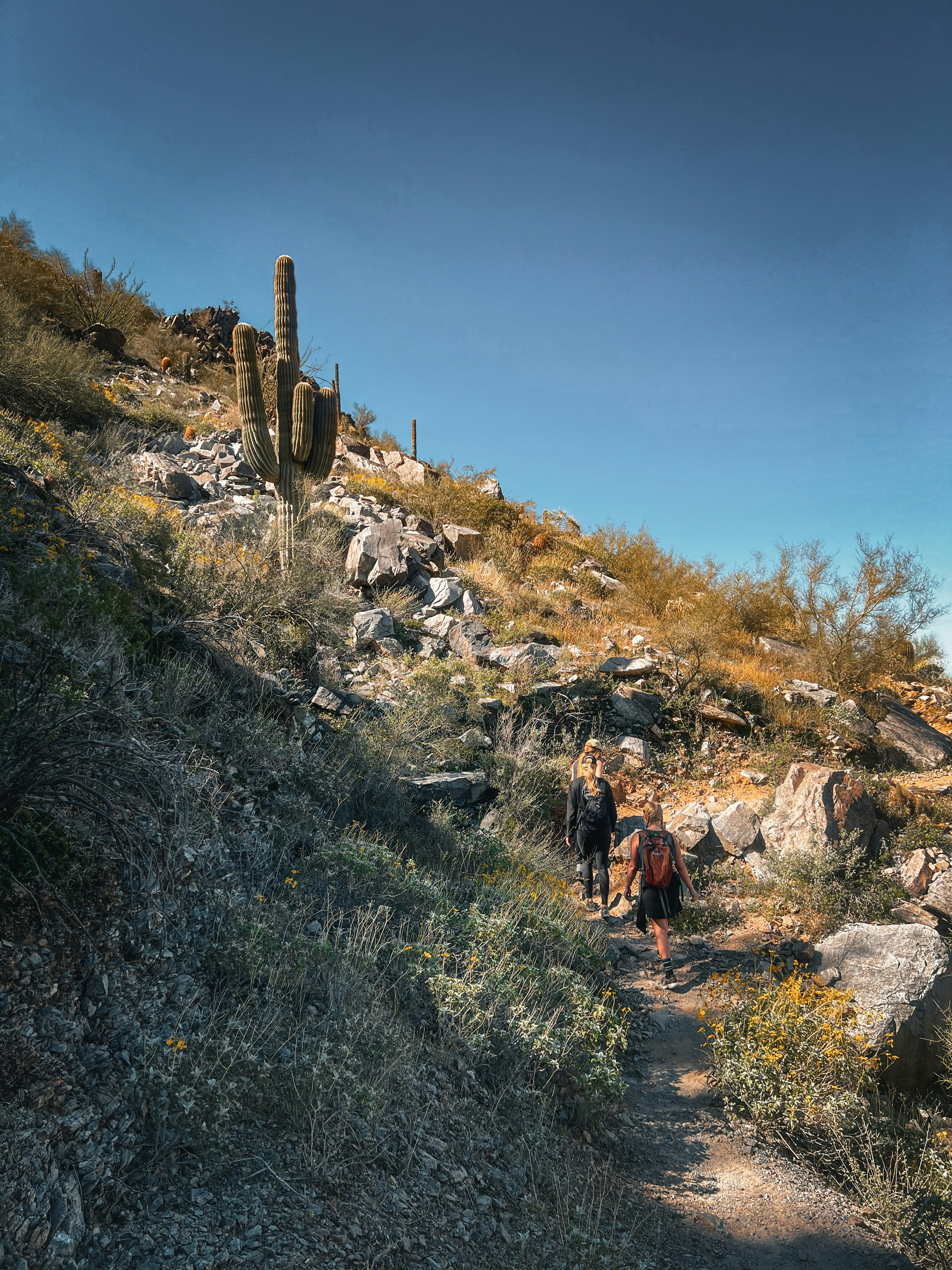 a couple of people that are walking down a hill