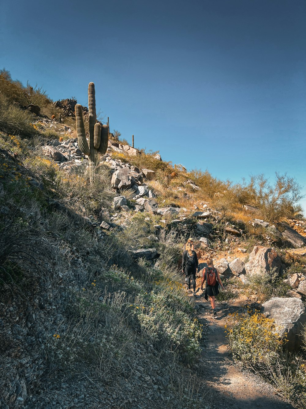 a couple of people that are walking down a hill