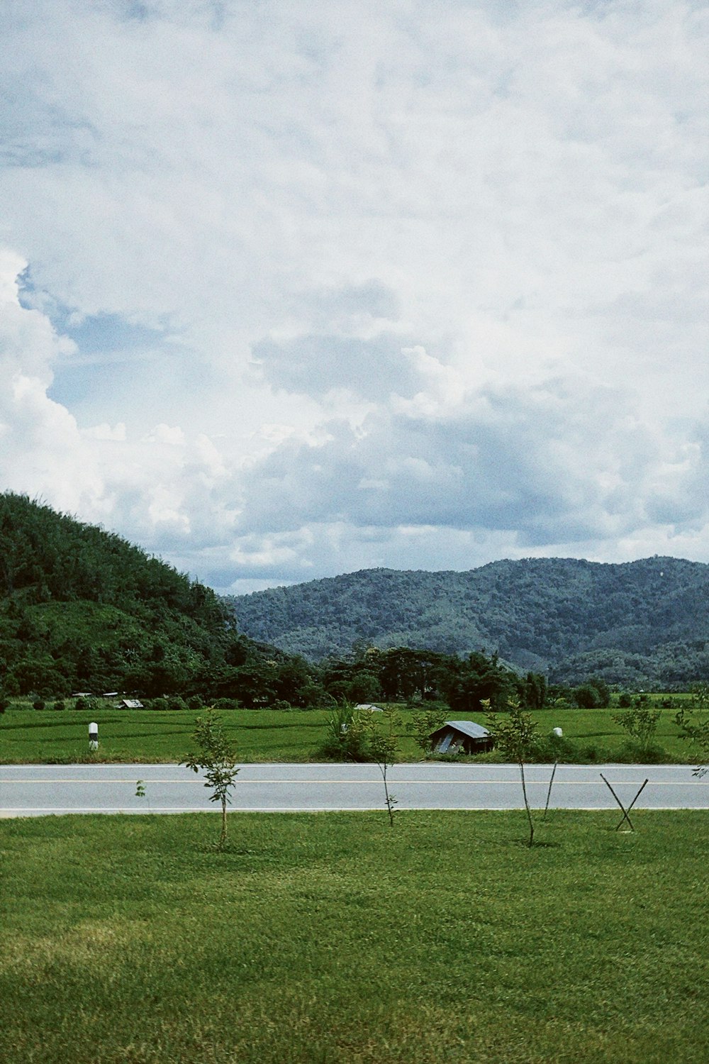 a grassy field with trees and mountains in the background