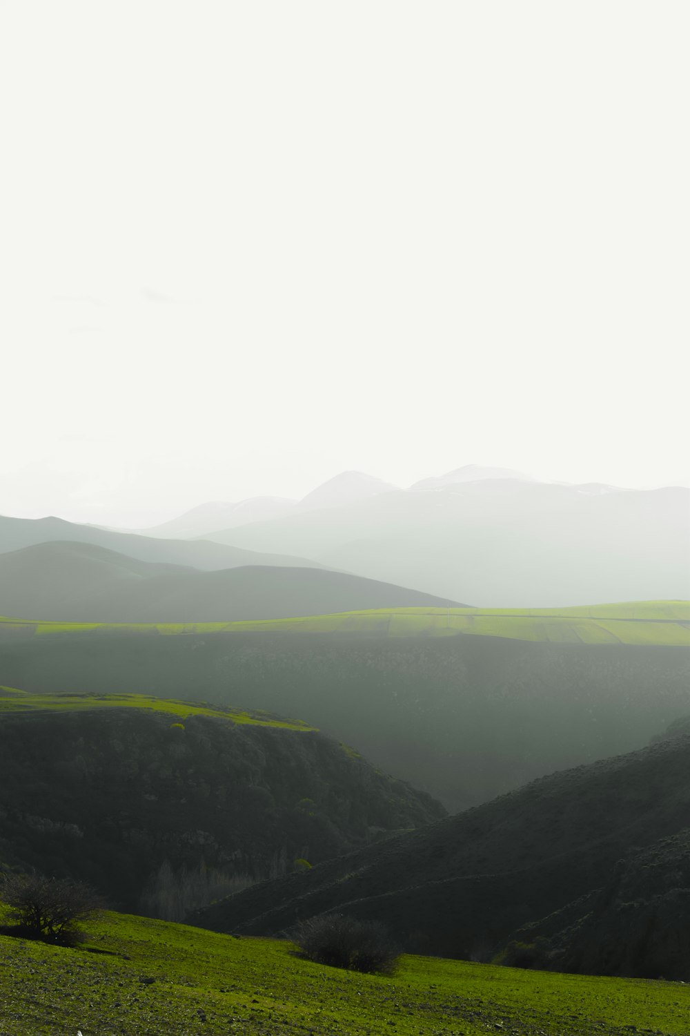 a couple of sheep standing on top of a lush green hillside