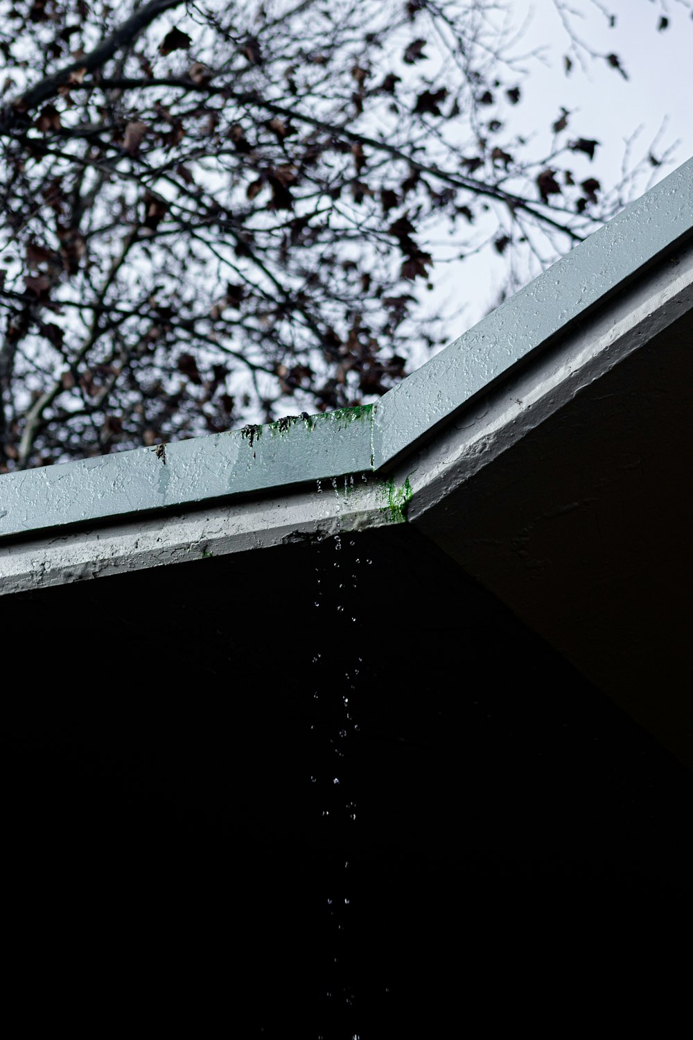 a bird is perched on the roof of a building