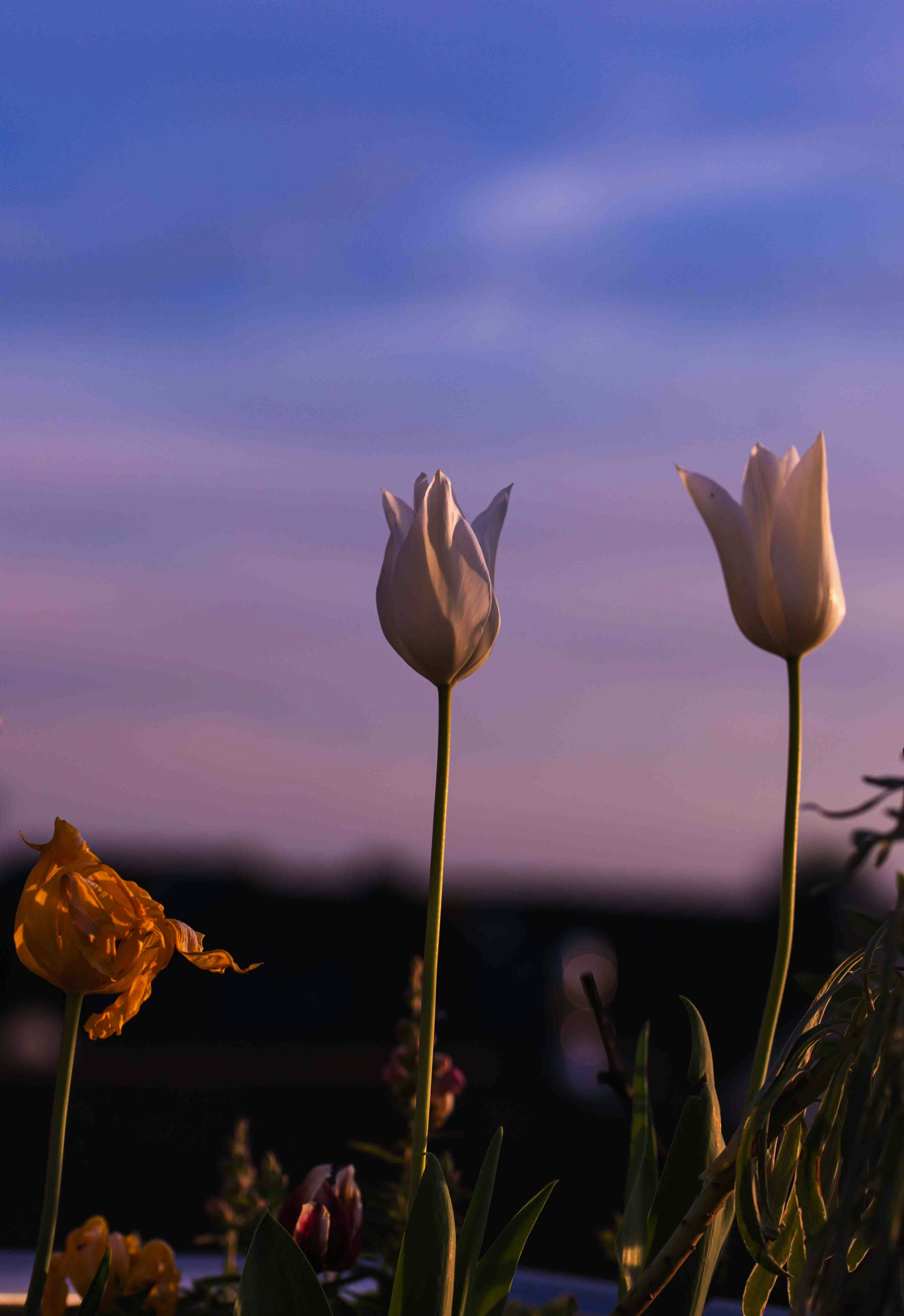 Photo by hdbernd