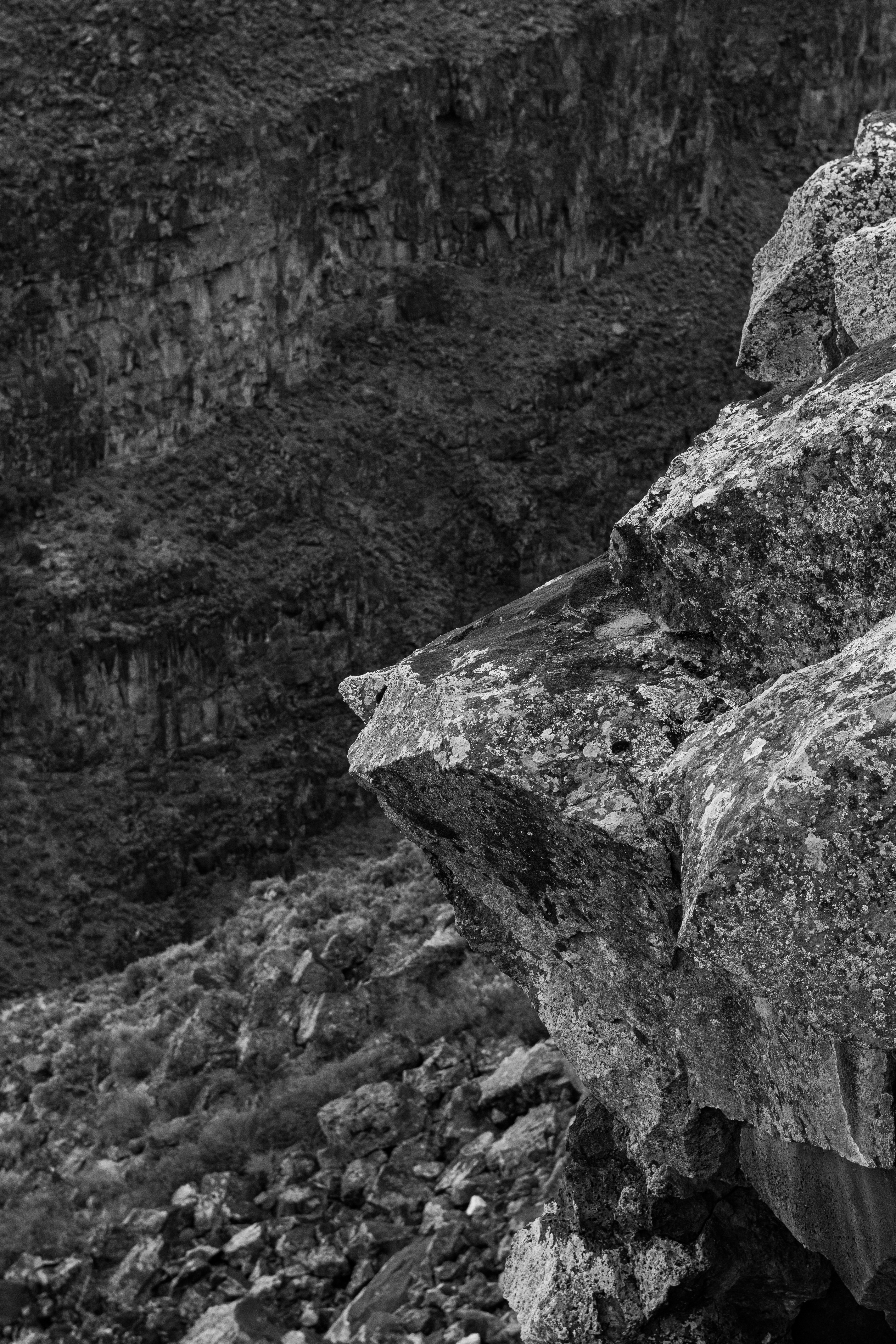 Photo by brandonstoll