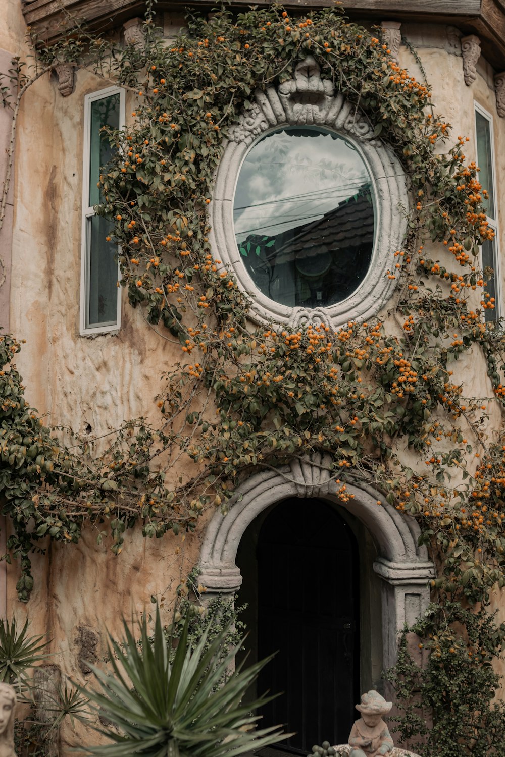 un edificio con una ventana redonda y una planta que crece en ella