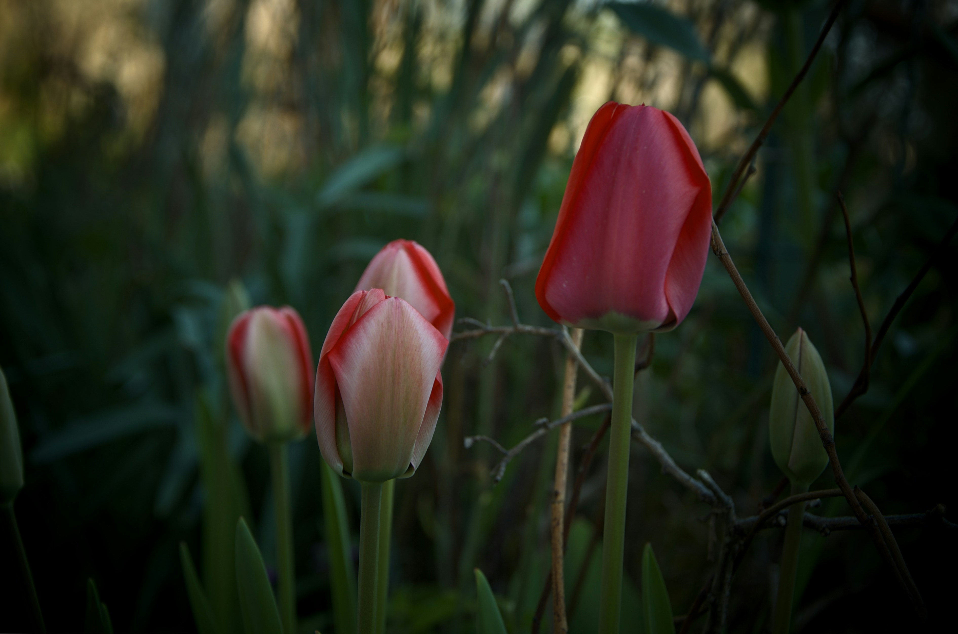 Photo by mariobeducci